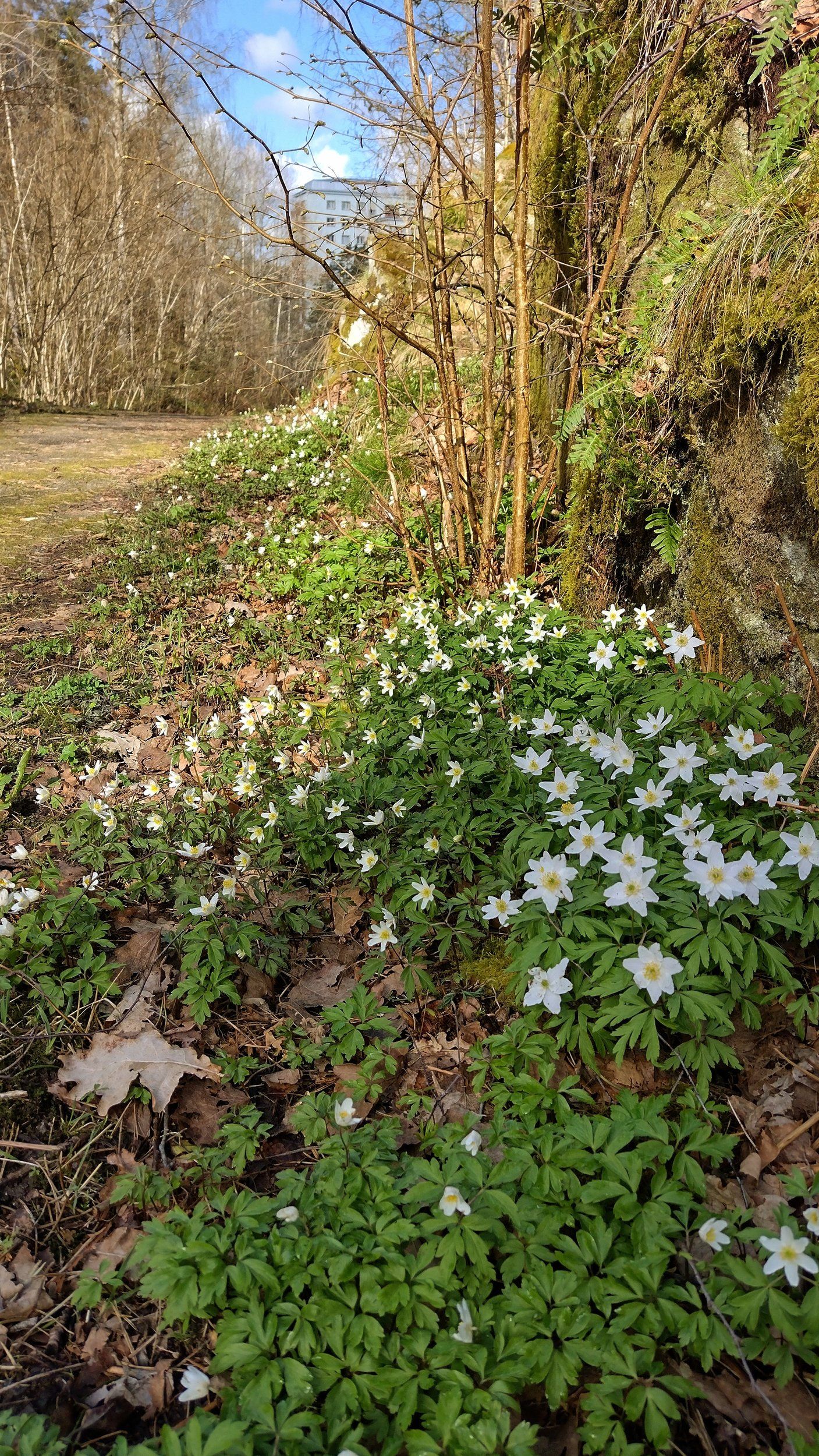 IMG_20240415_110315893_HDR~2.jpg