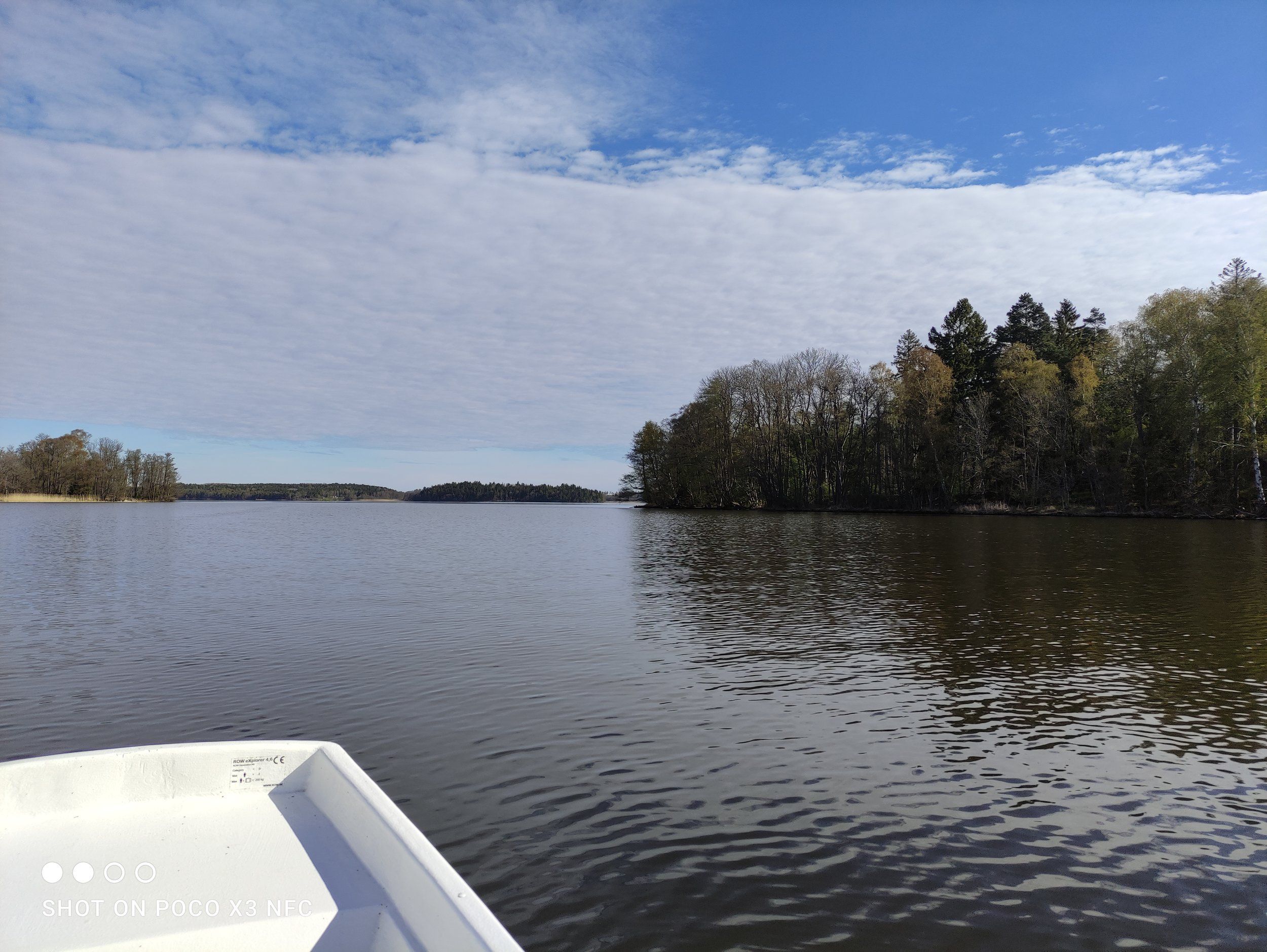 IMG_20240512_084339.jpg