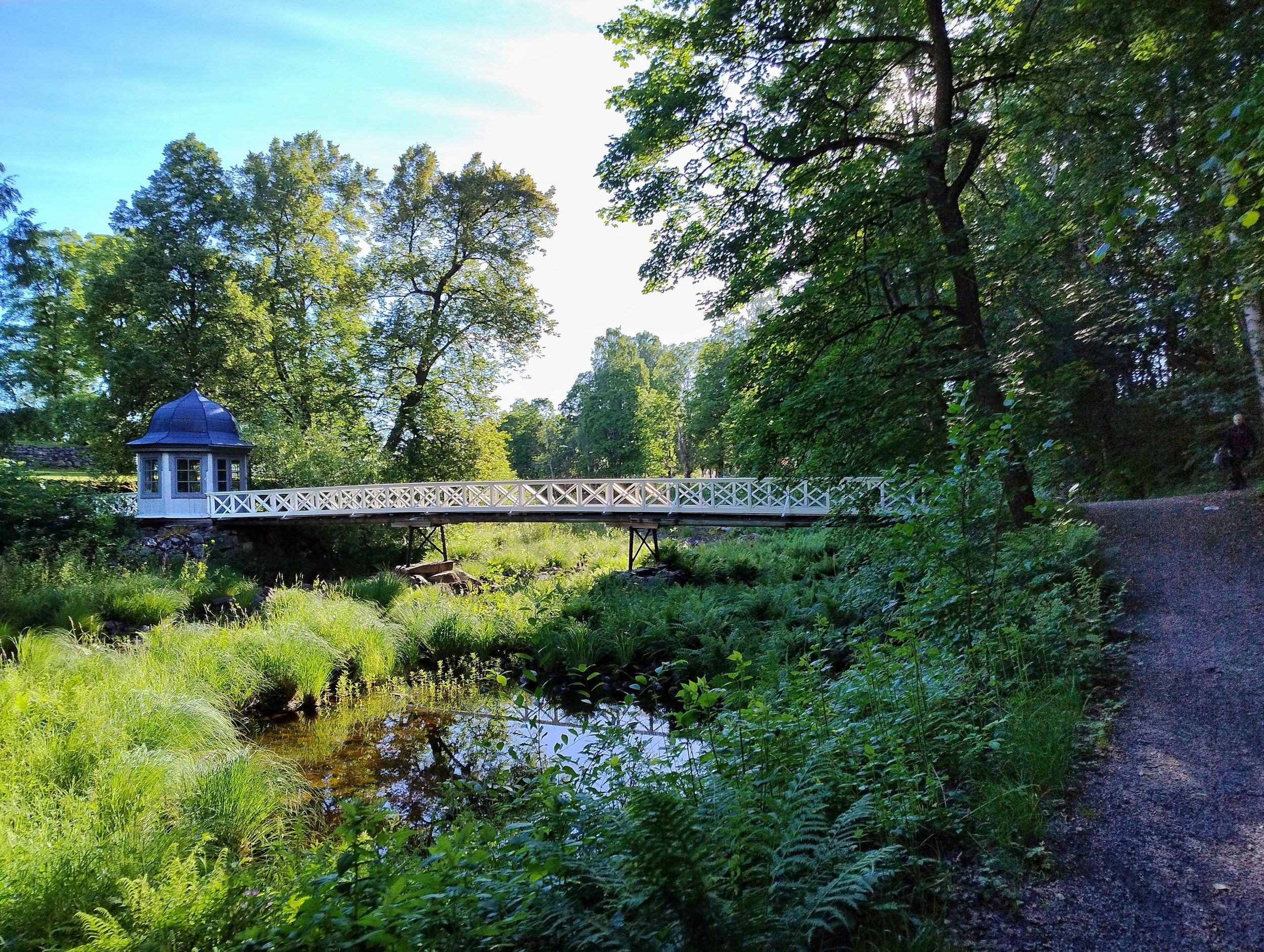 IMG_20240620_071855515_HDR.jpg