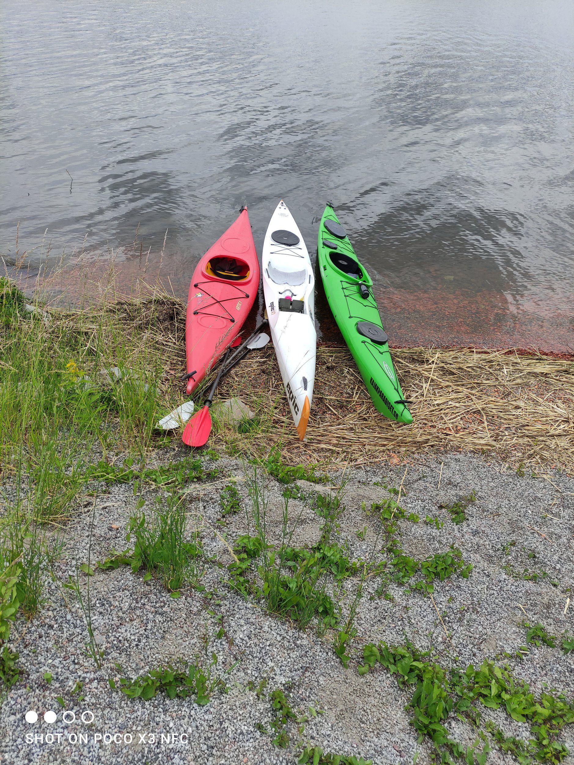 IMG_20240623_142906.jpg