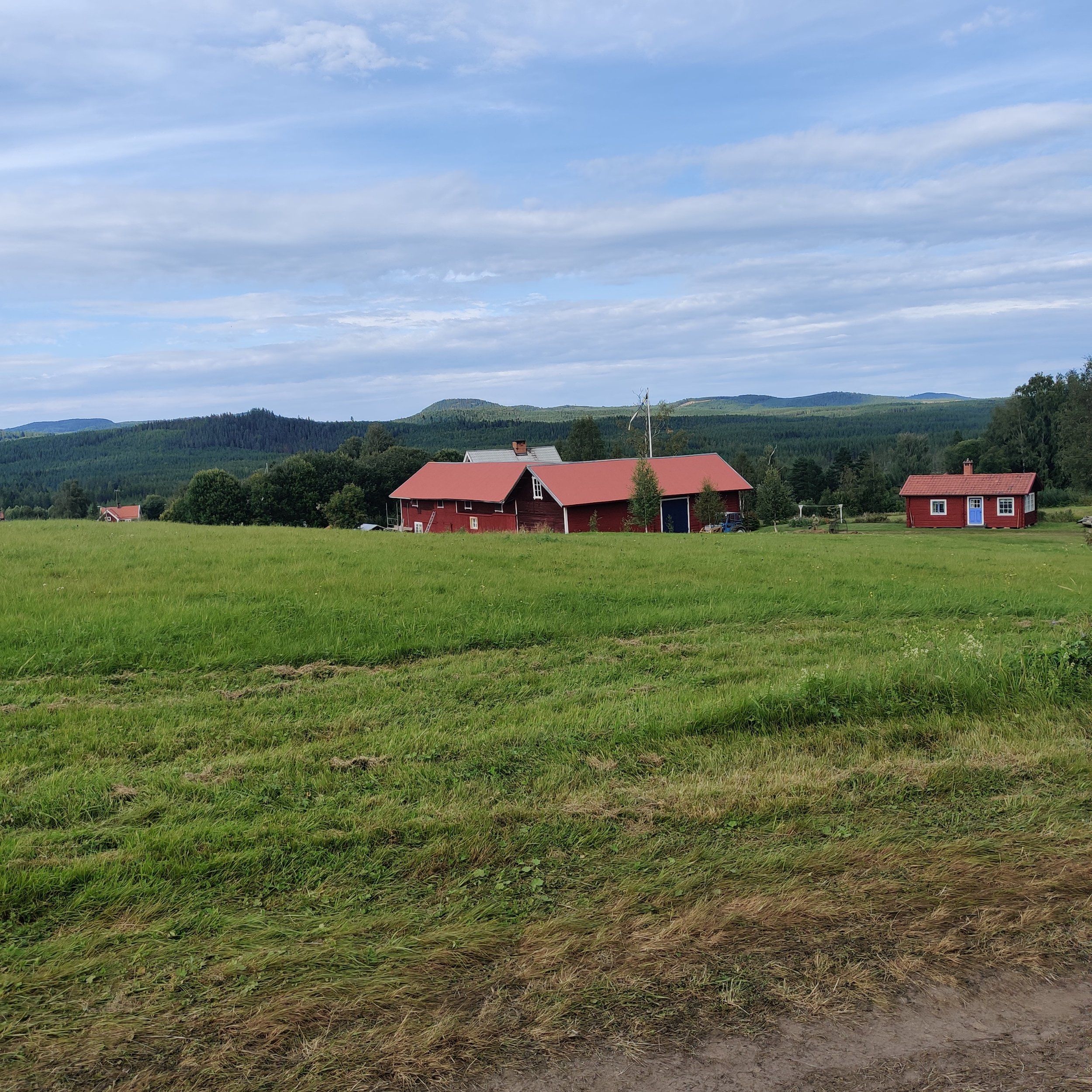 IMG_20240814_164122.jpg