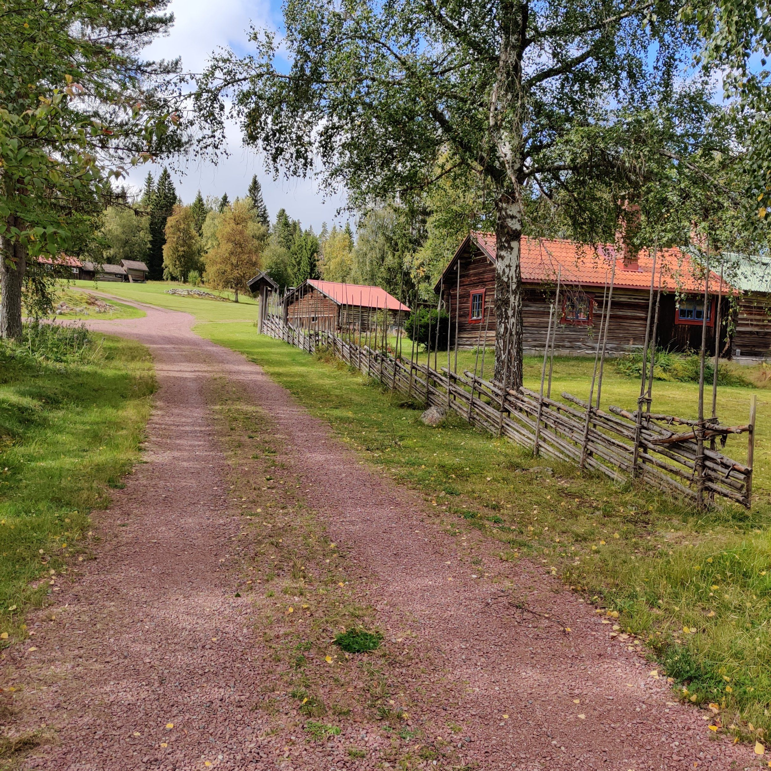 IMG_20240831_134446.jpg
