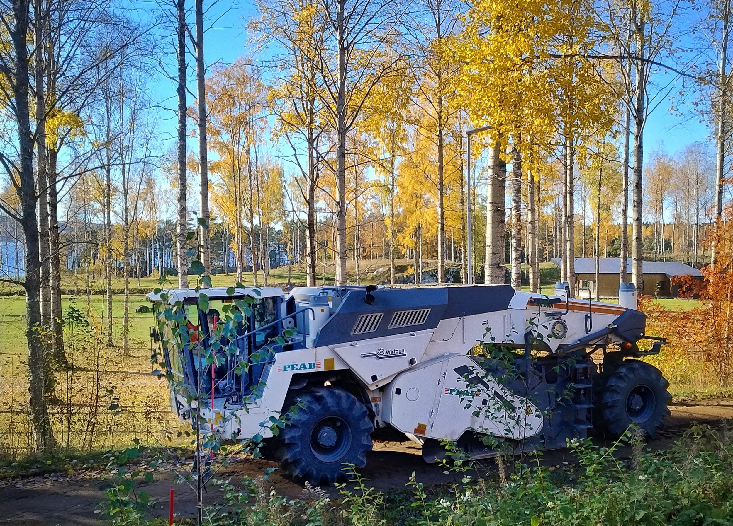 IMG_20241015_132534336_HDR.jpg