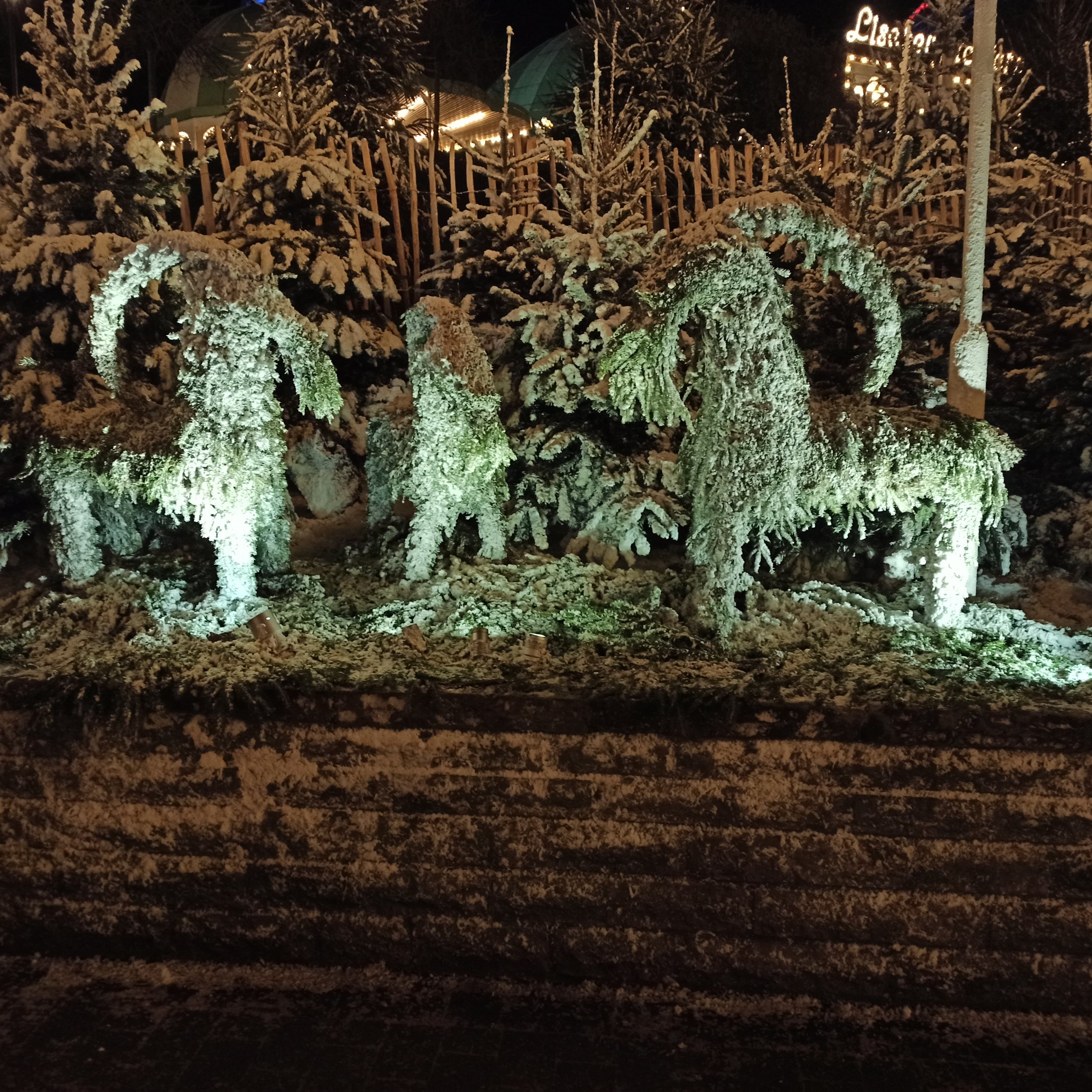 IMG_20241219_181103.jpg