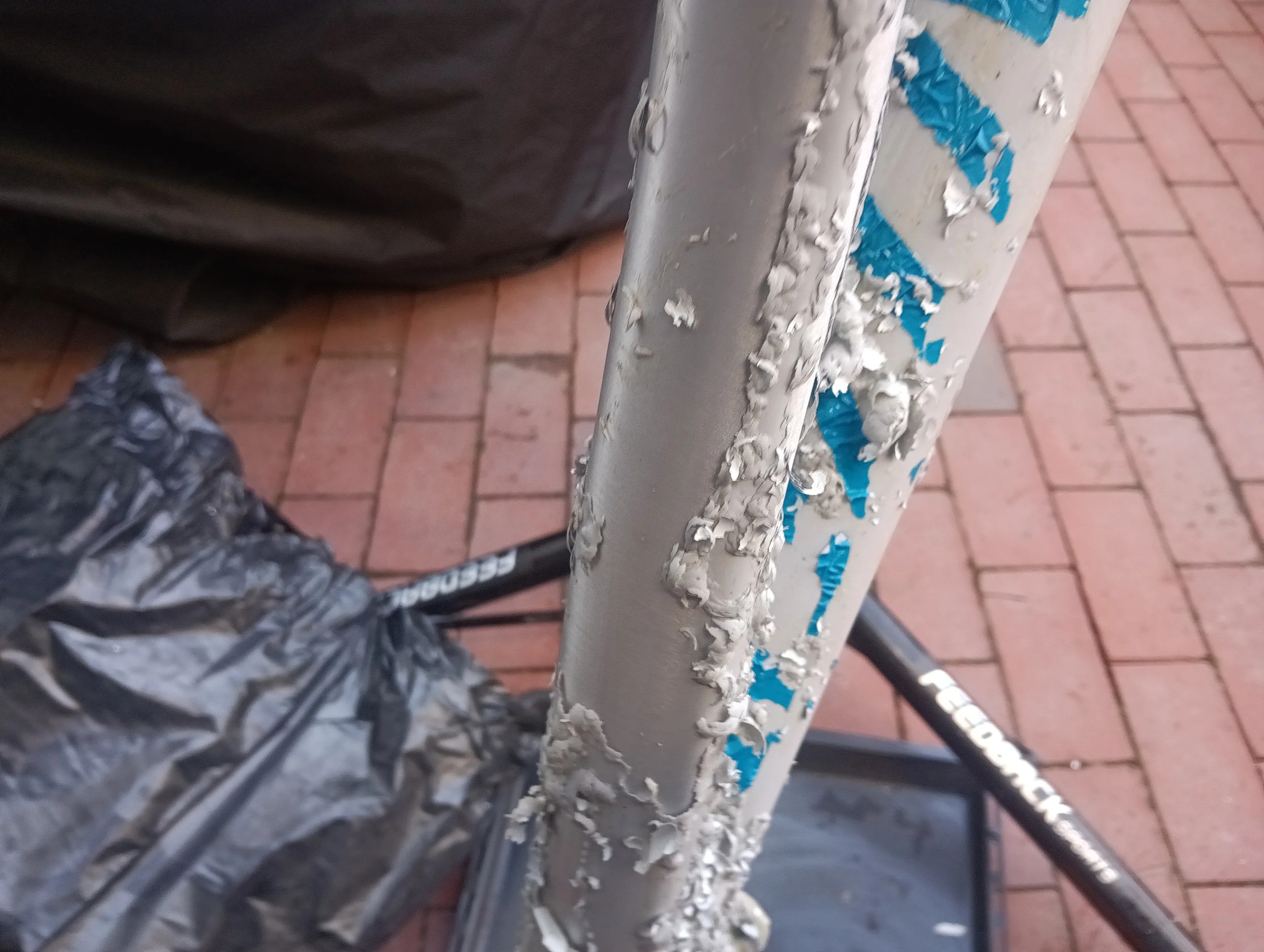 IMG_20250308_085102633.webp