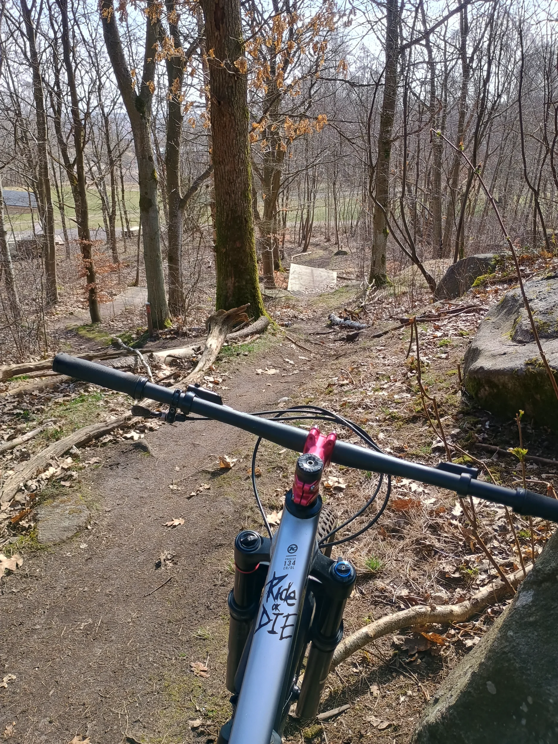 IMG_20250329_124317726_HDR.webp