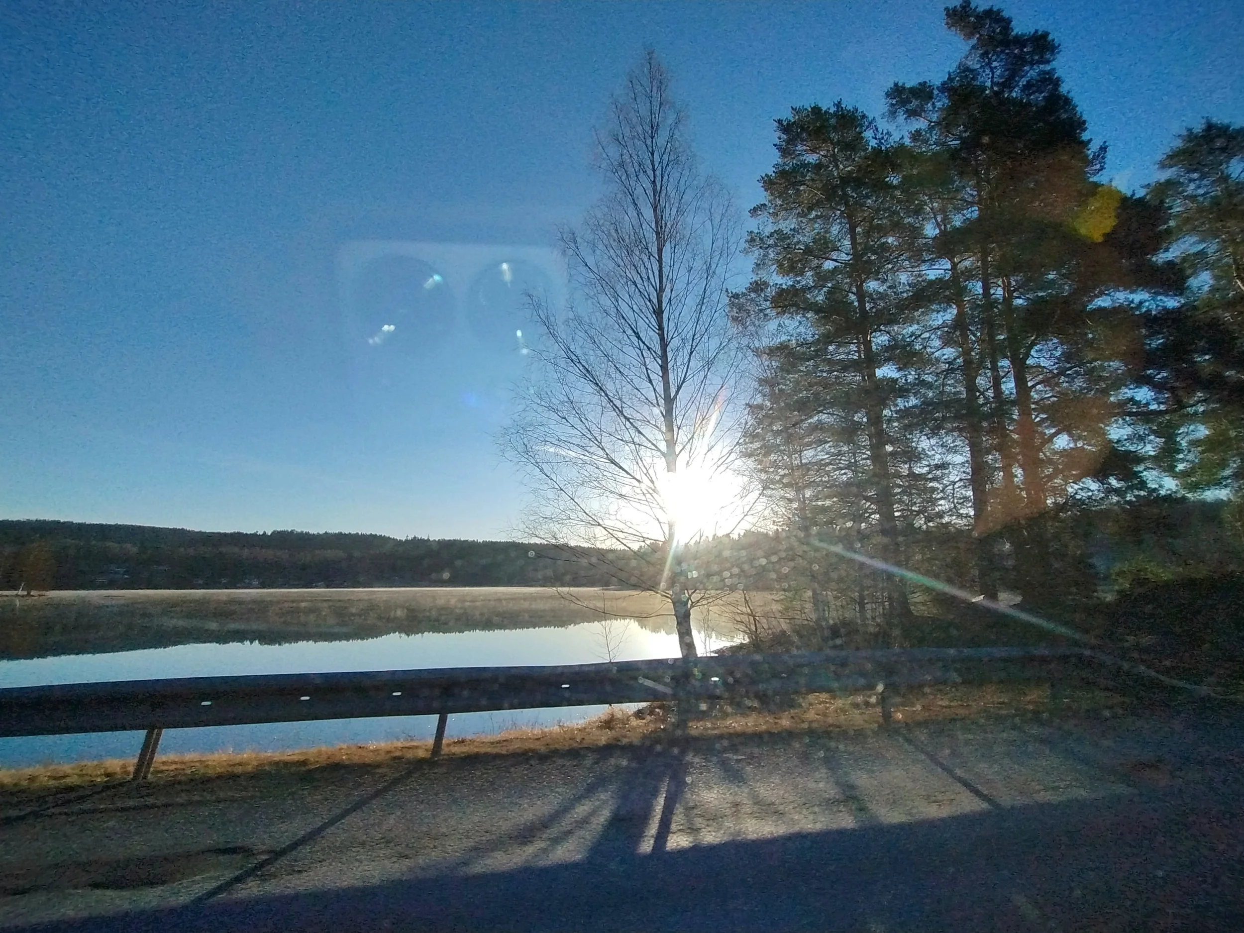 IMG_20250415_065656476_HDR.webp