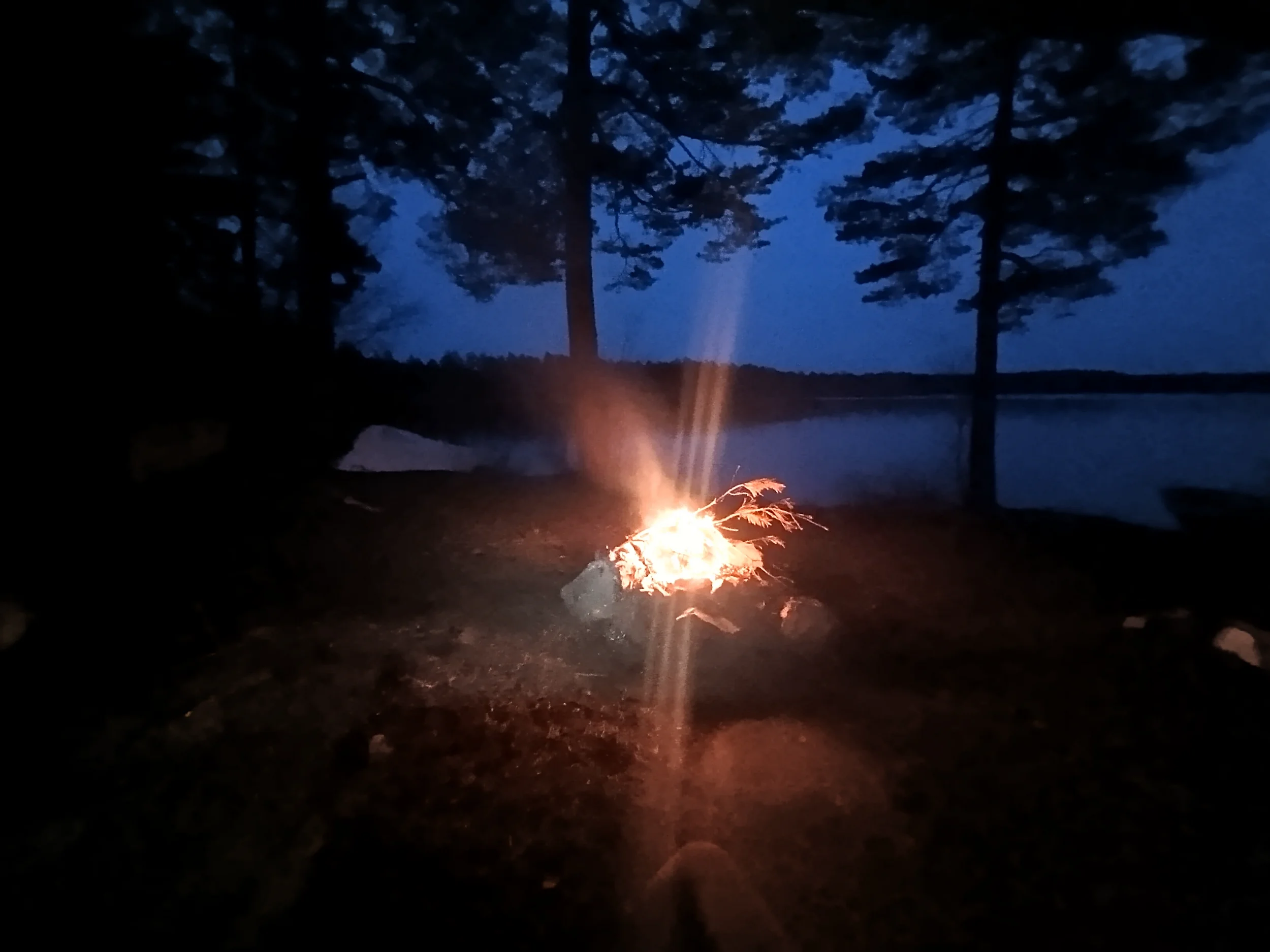 IMG_20250418_210441114.webp