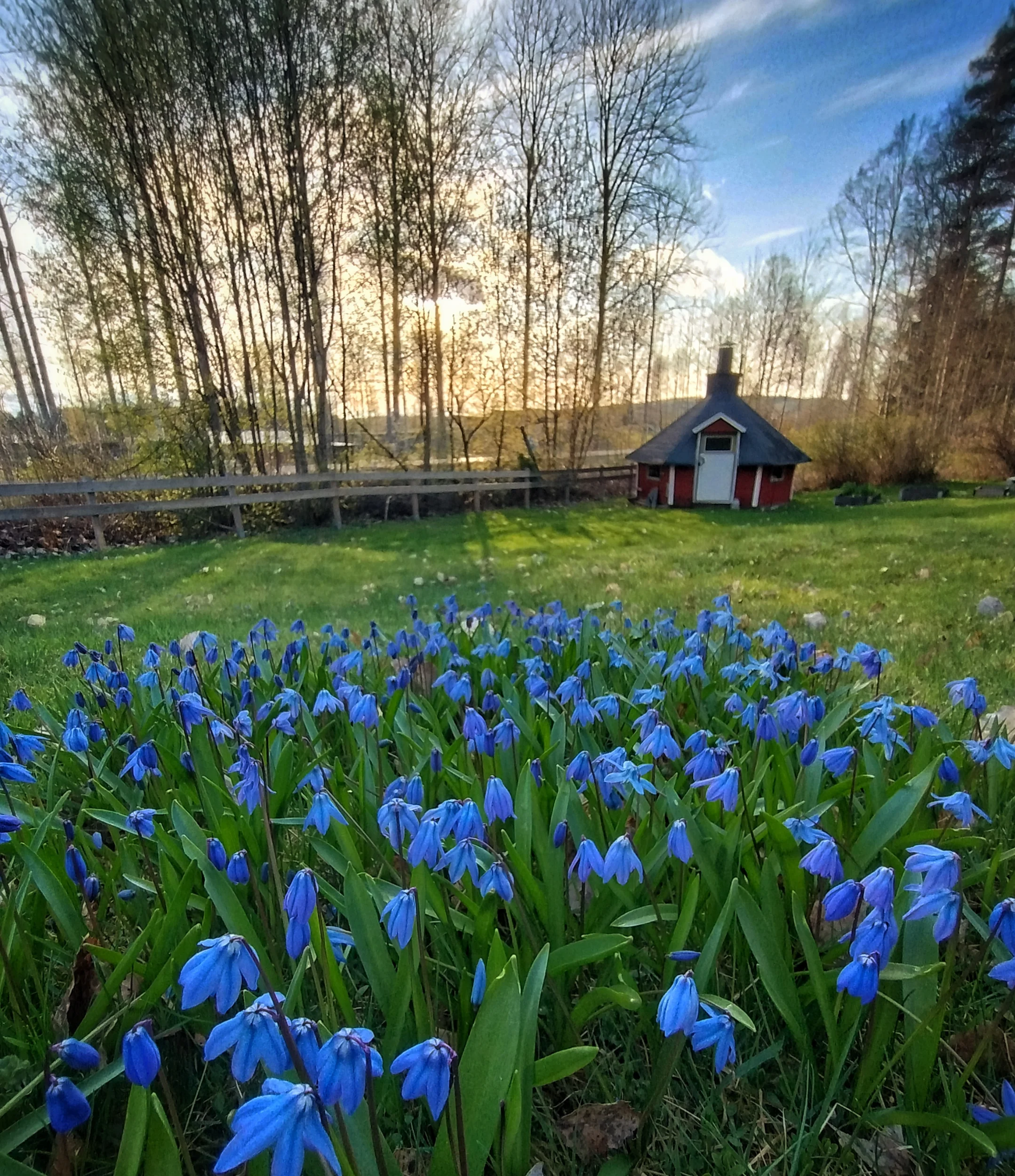 IMG_20250423_191311515_HDR.webp