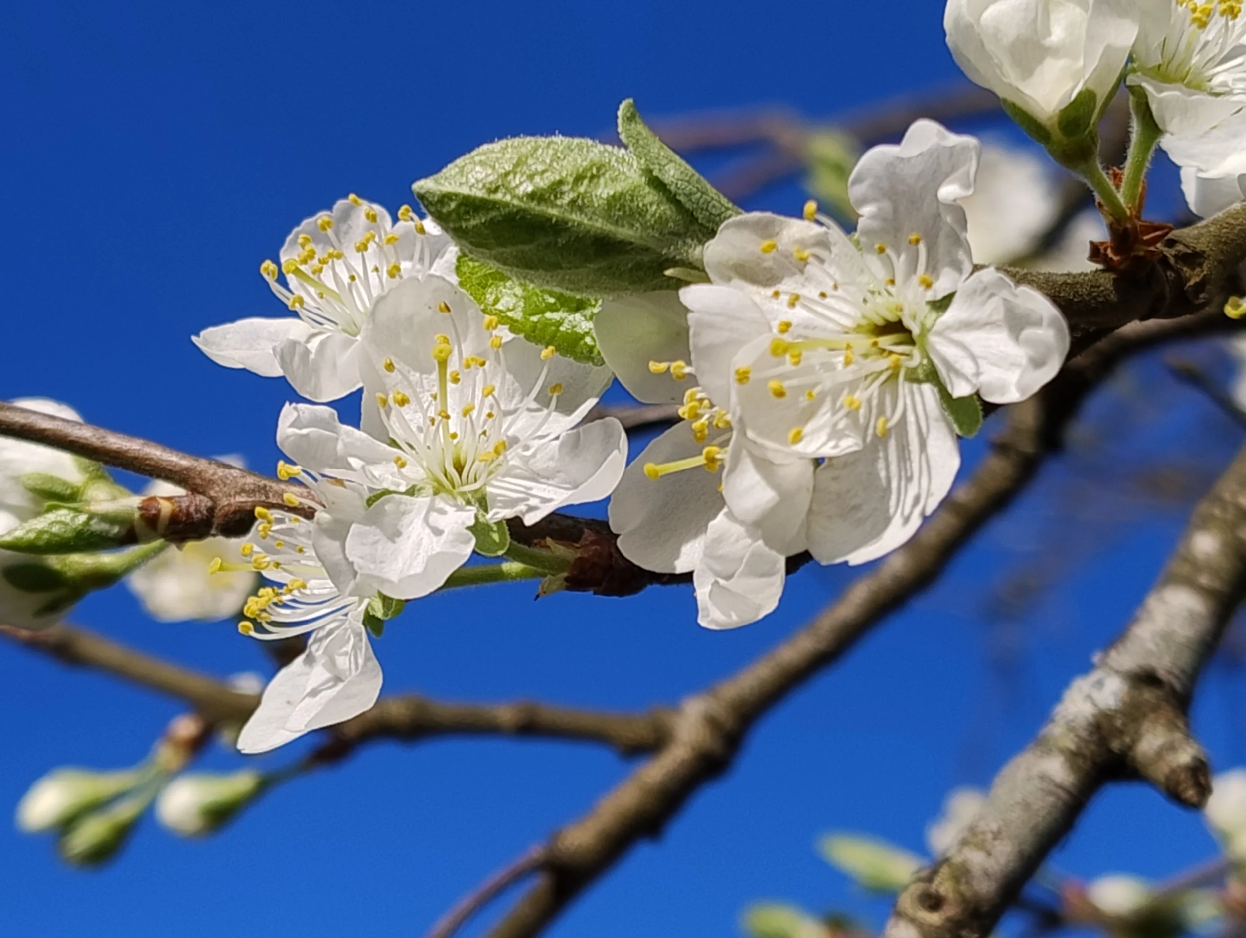 IMG_20250425_172745162.webp