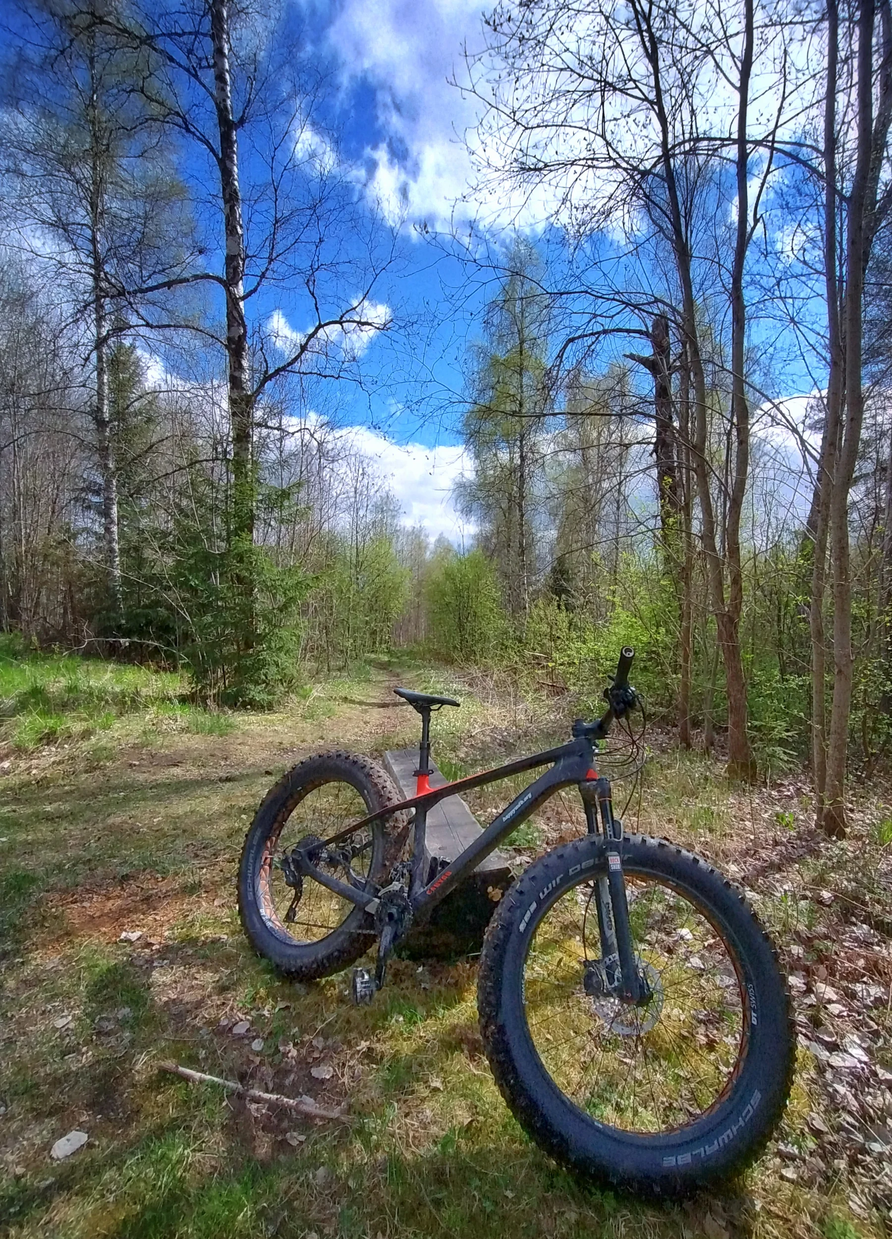 IMG_20250504_143804917_HDR.webp