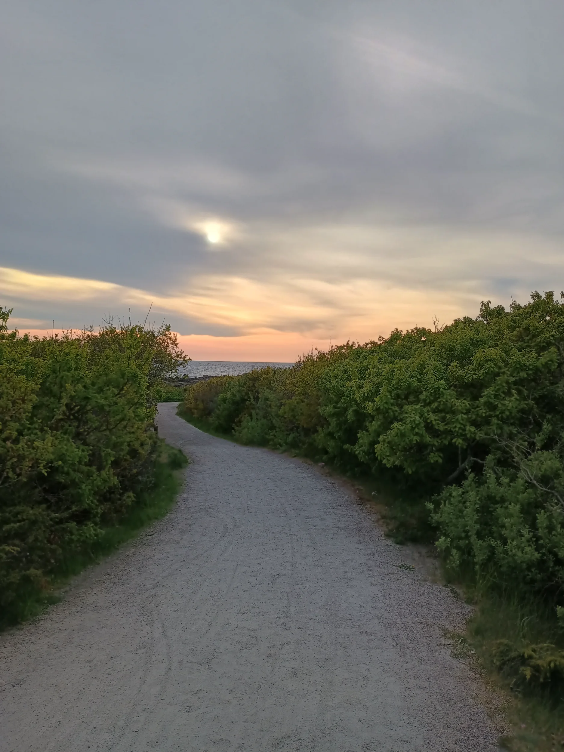 IMG_20250513_194649646_HDR.webp