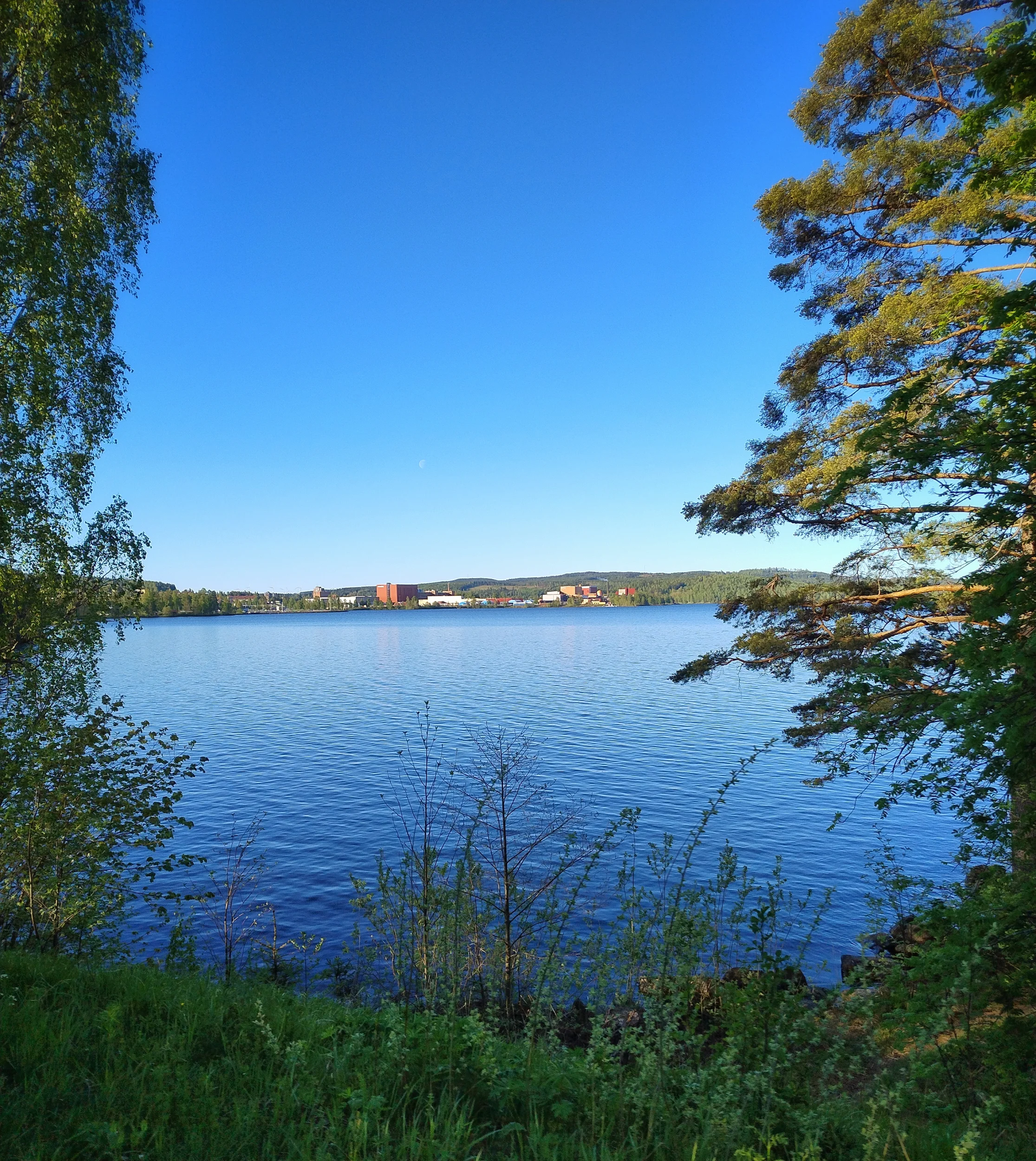IMG_20250519_065704080_HDR.webp
