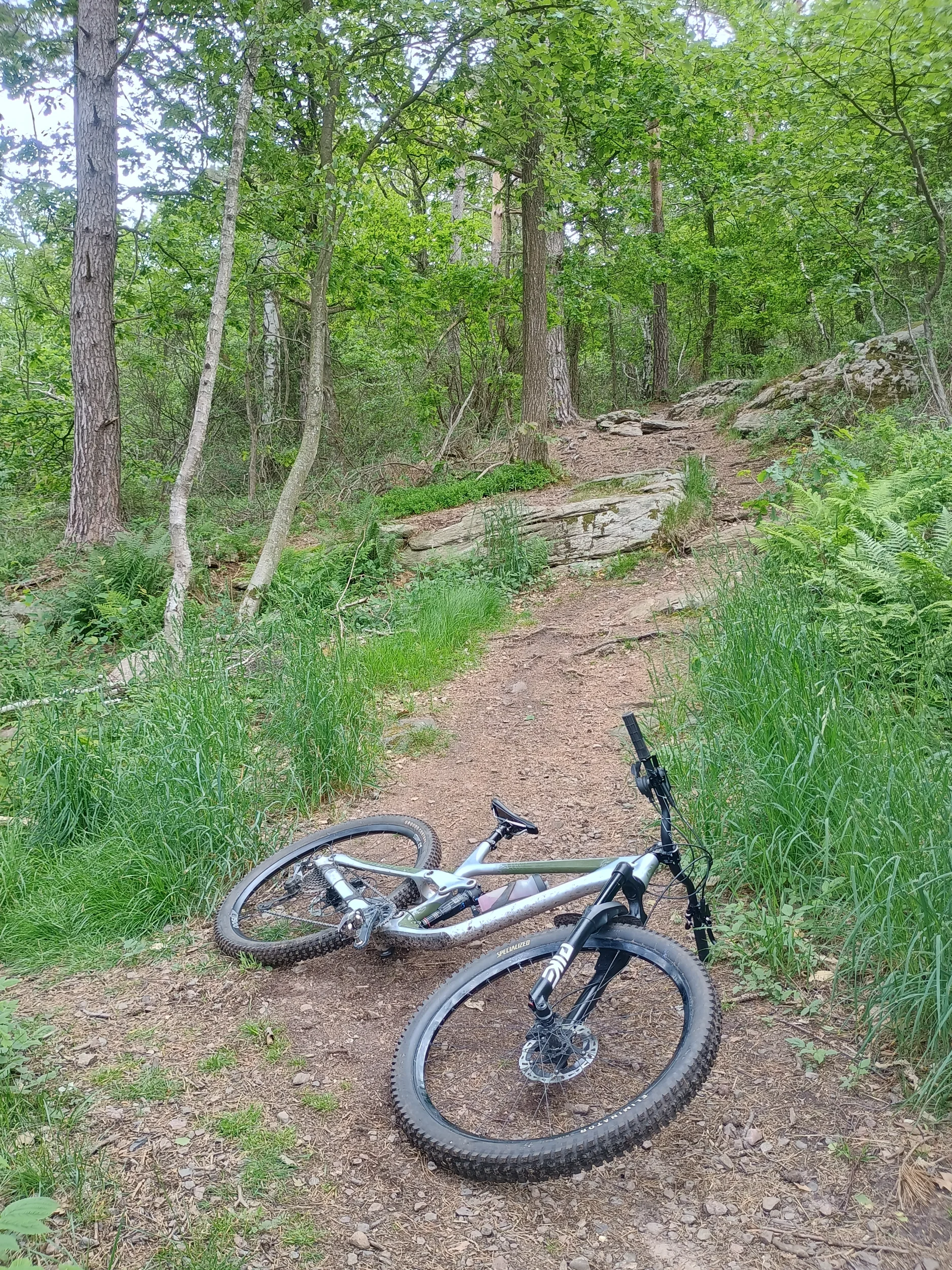 IMG_20250601_103113512_HDR.webp