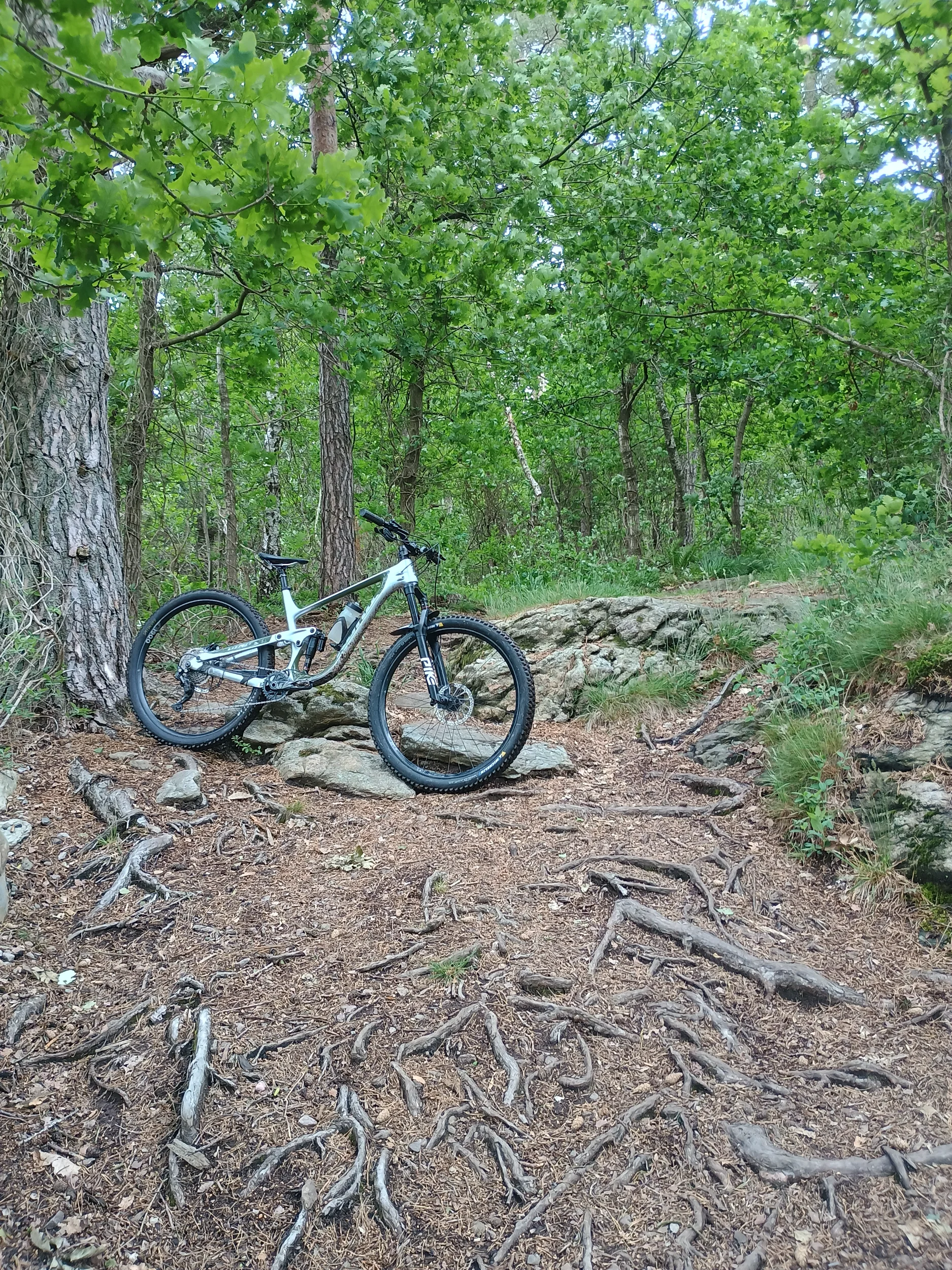 IMG_20250606_171656552_HDR.webp