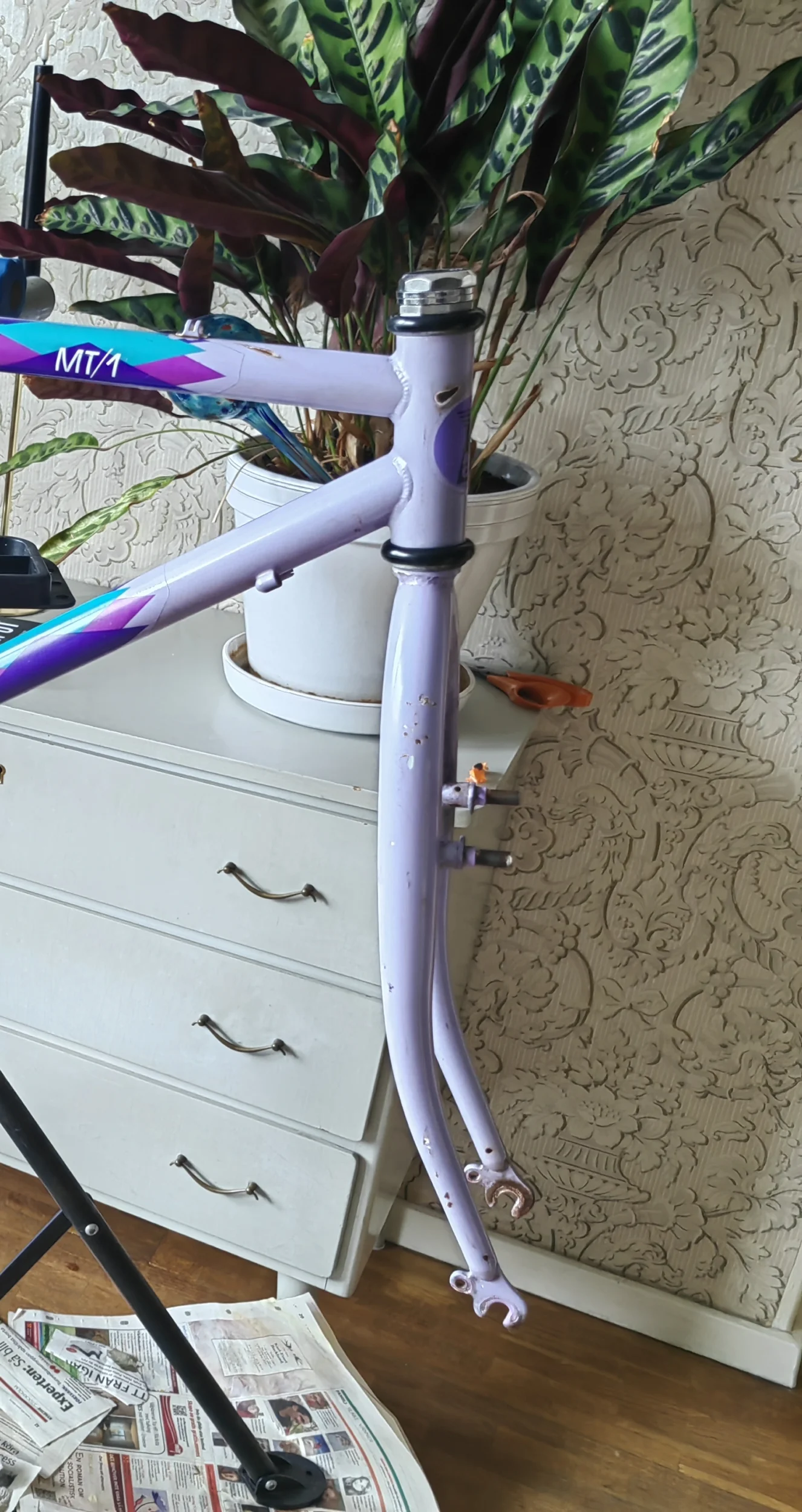 IMG_20250628_200928.webp