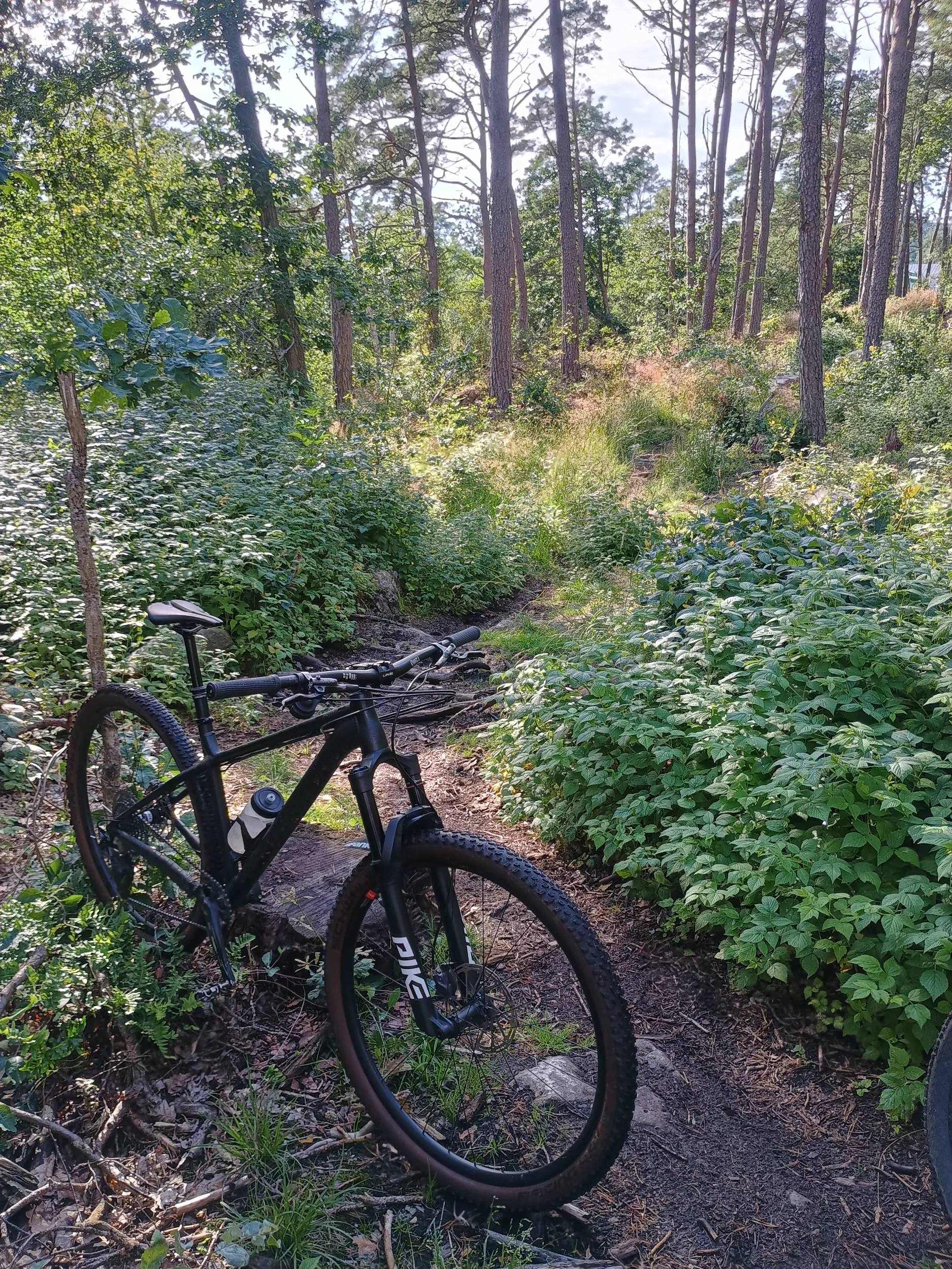 IMG_20250706_175635520_HDR.webp