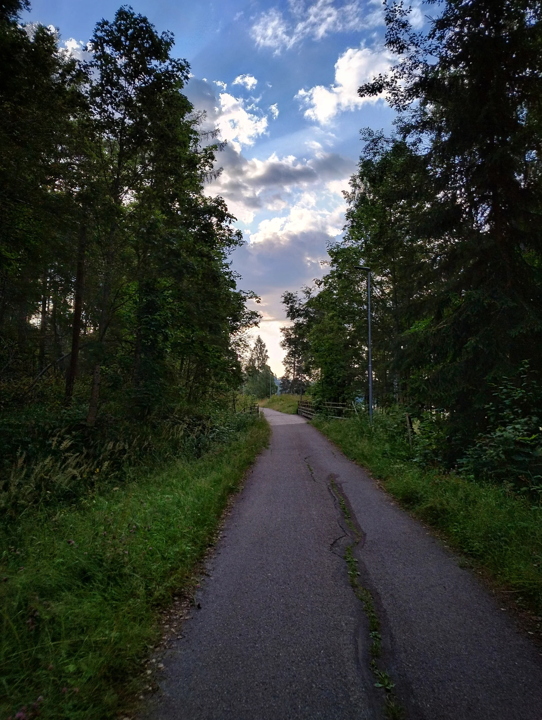 IMG_20250721_070012119_HDR.webp