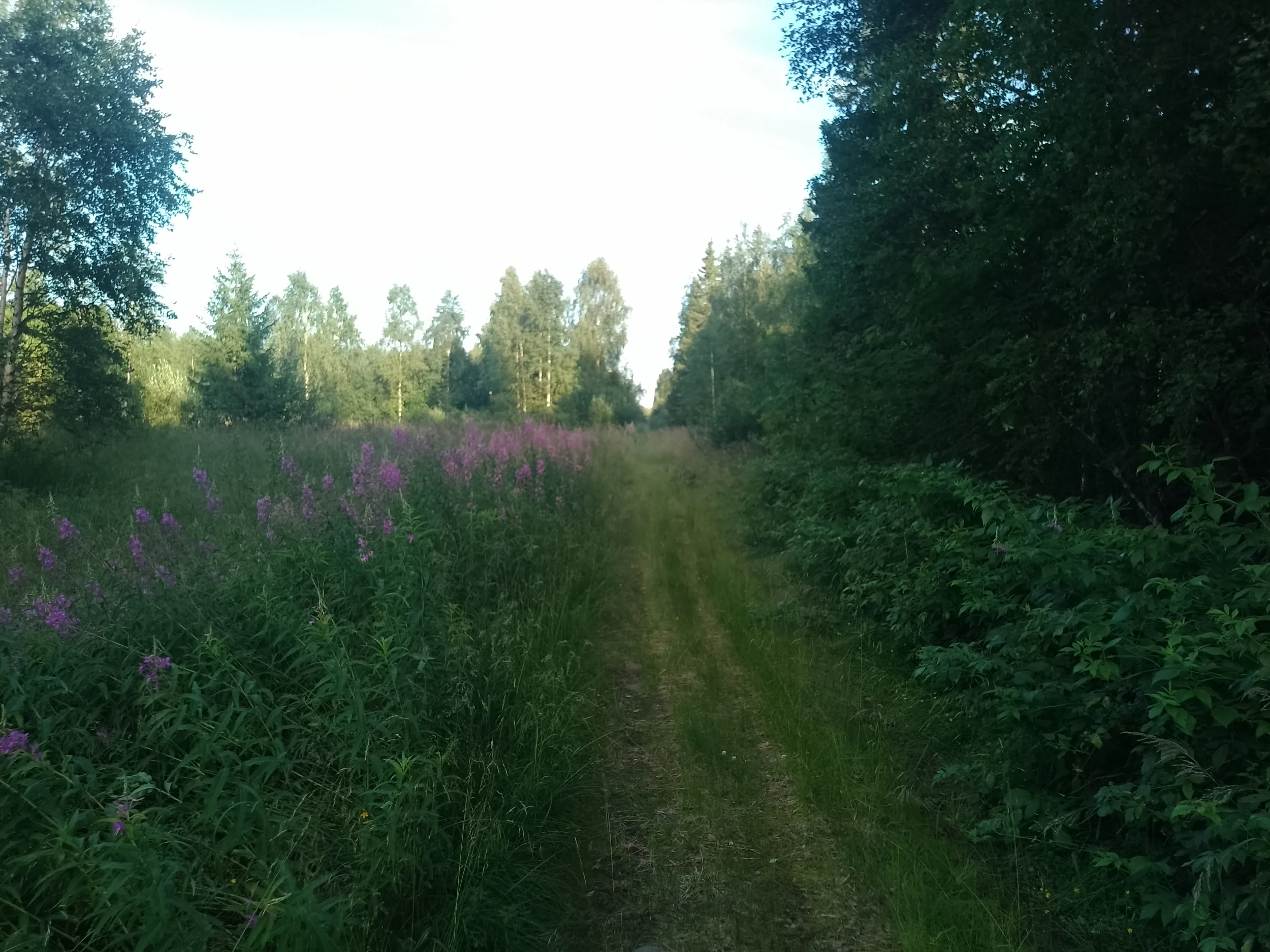 IMG_20250730_183921.webp