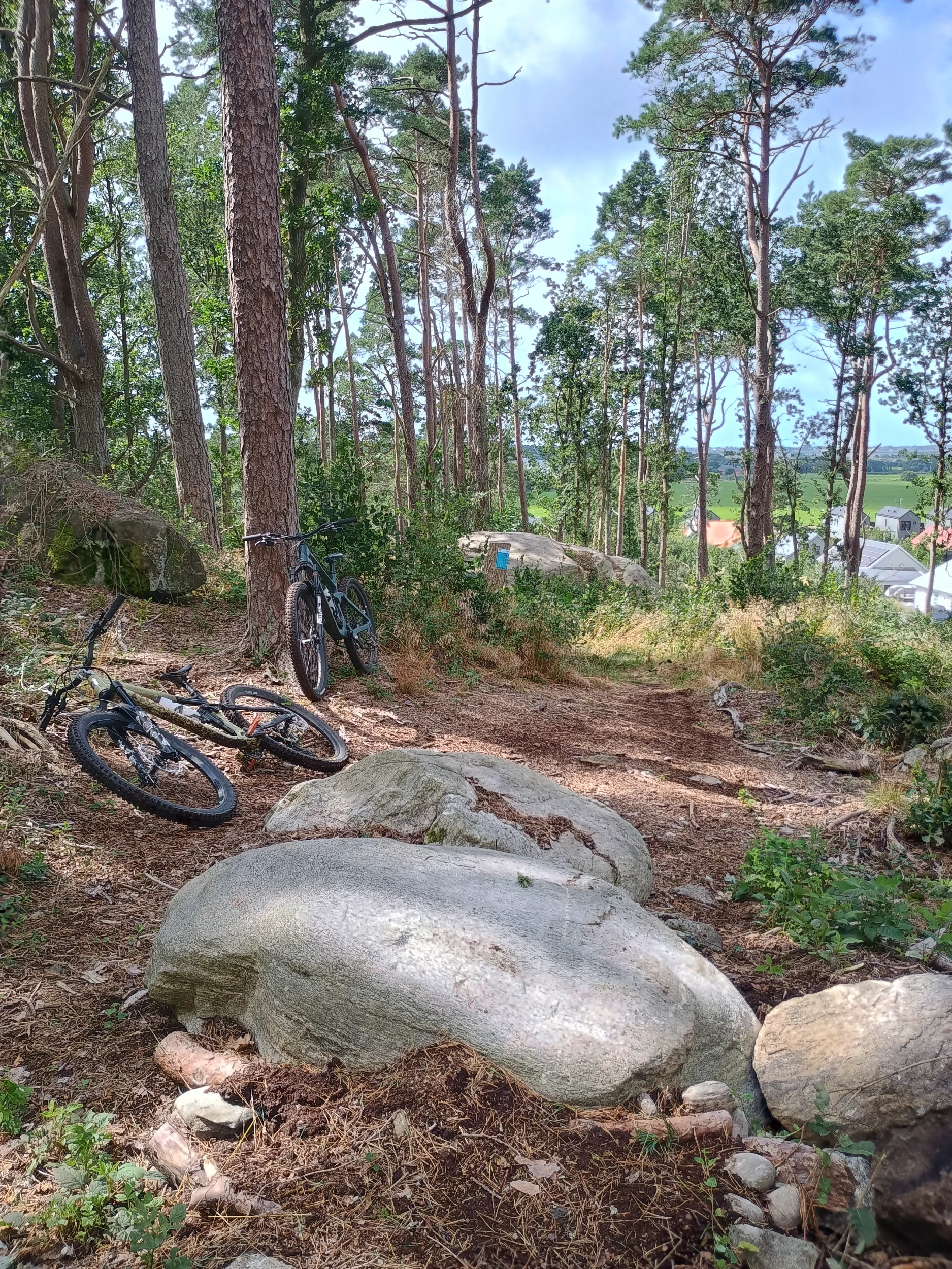IMG_20250805_114525206_HDR.webp