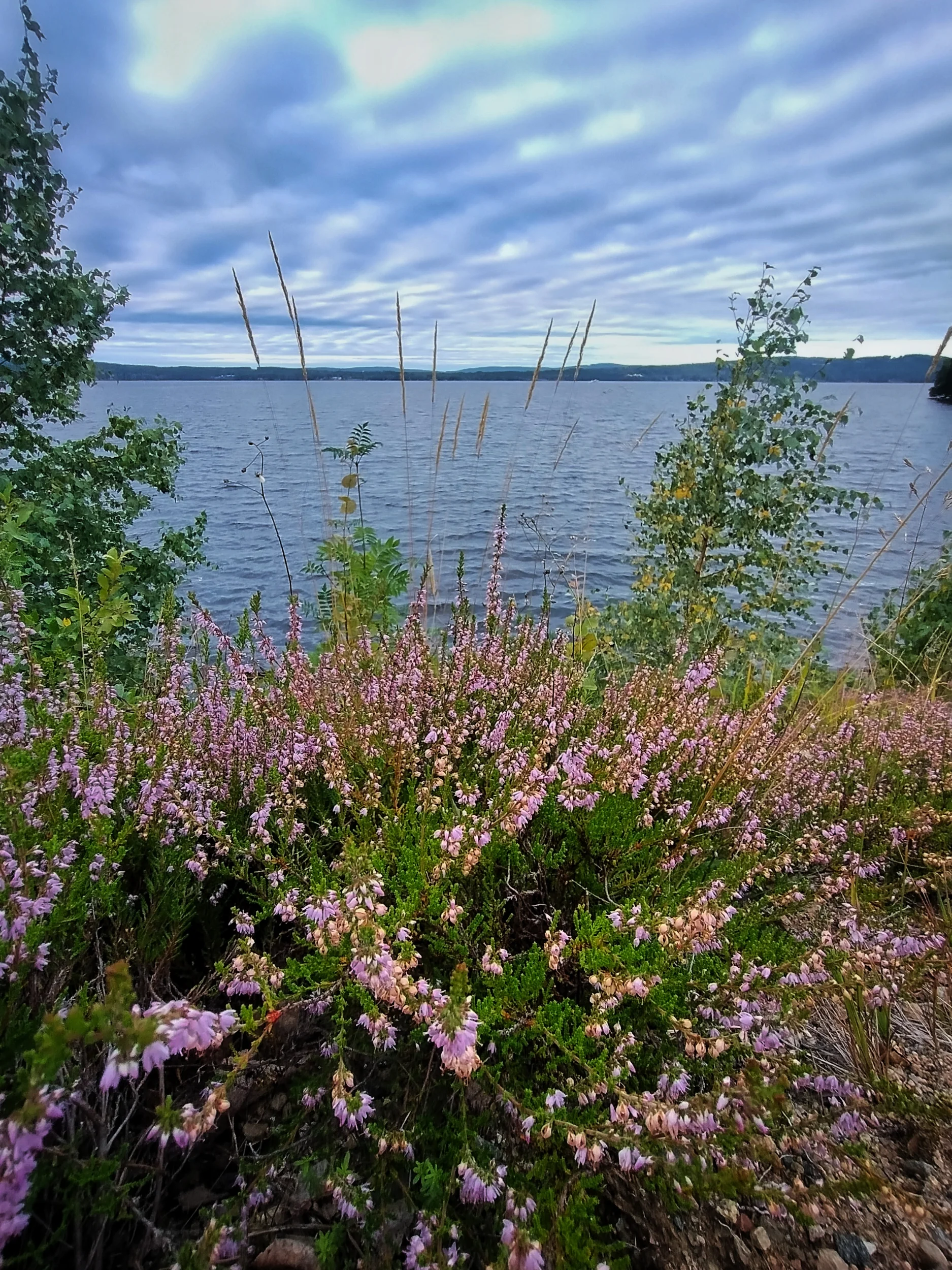 IMG_20250813_072500464.webp