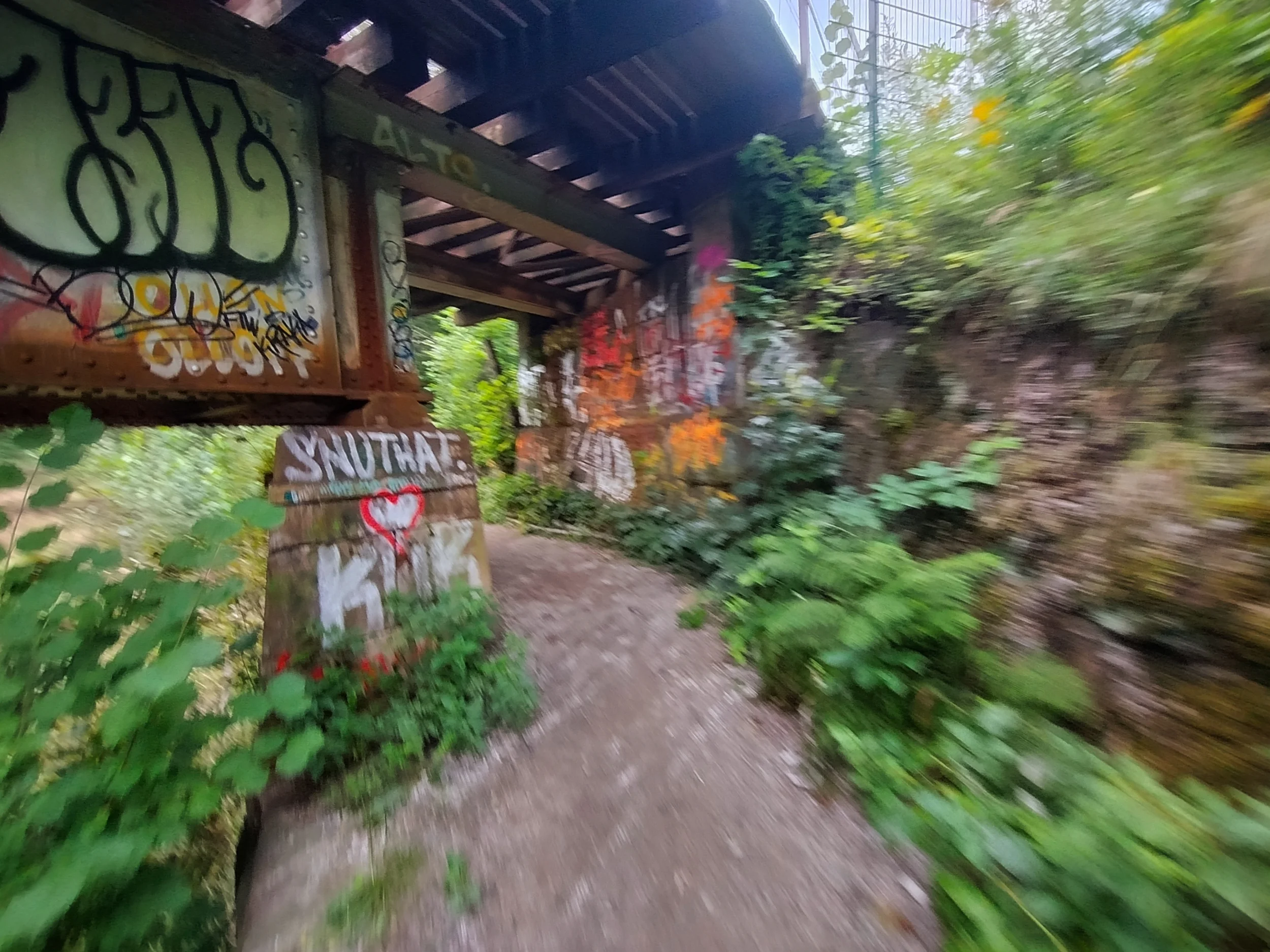 IMG_20250813_073117492_HDR.webp