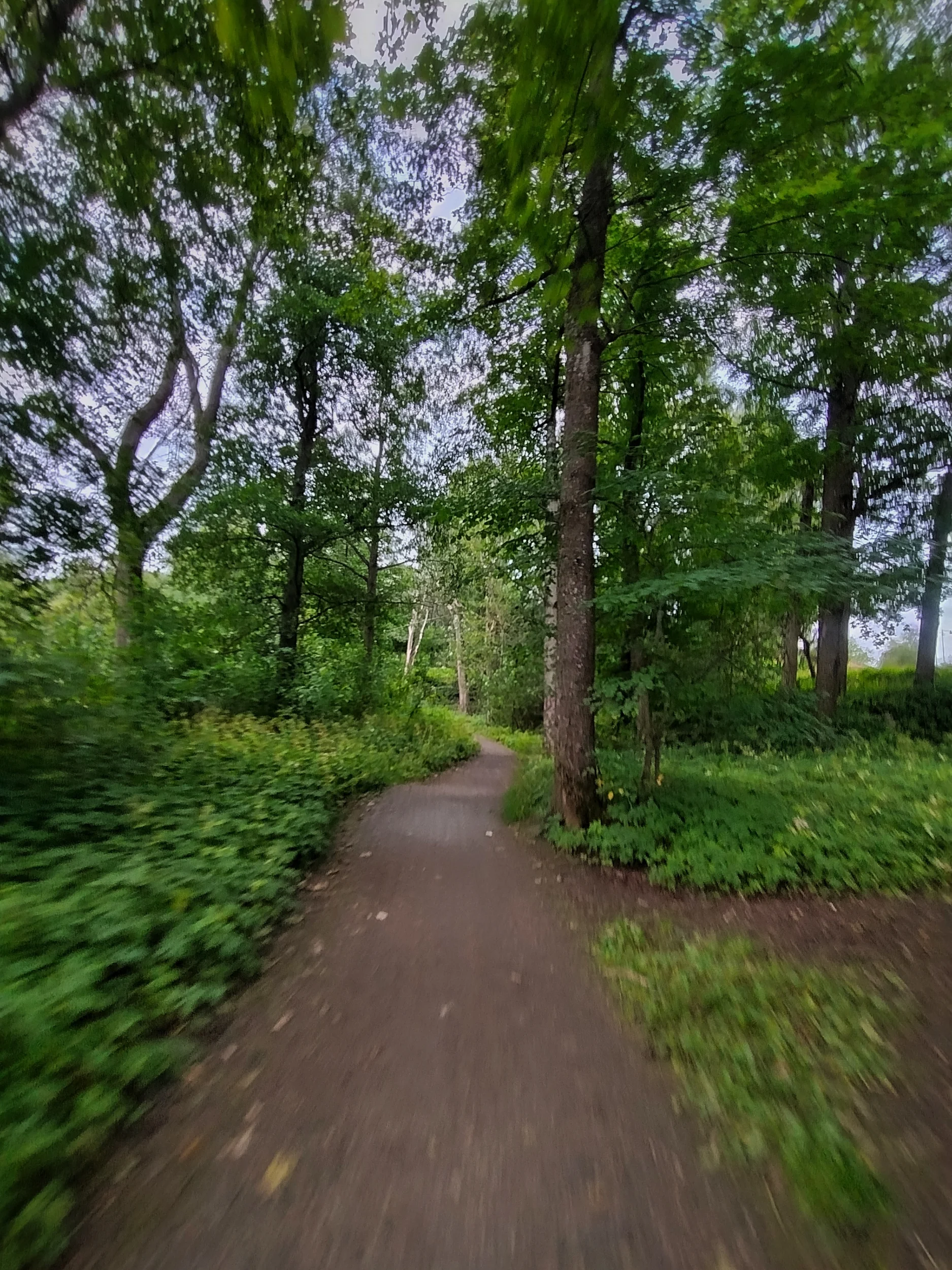 IMG_20250813_073127212_HDR.webp