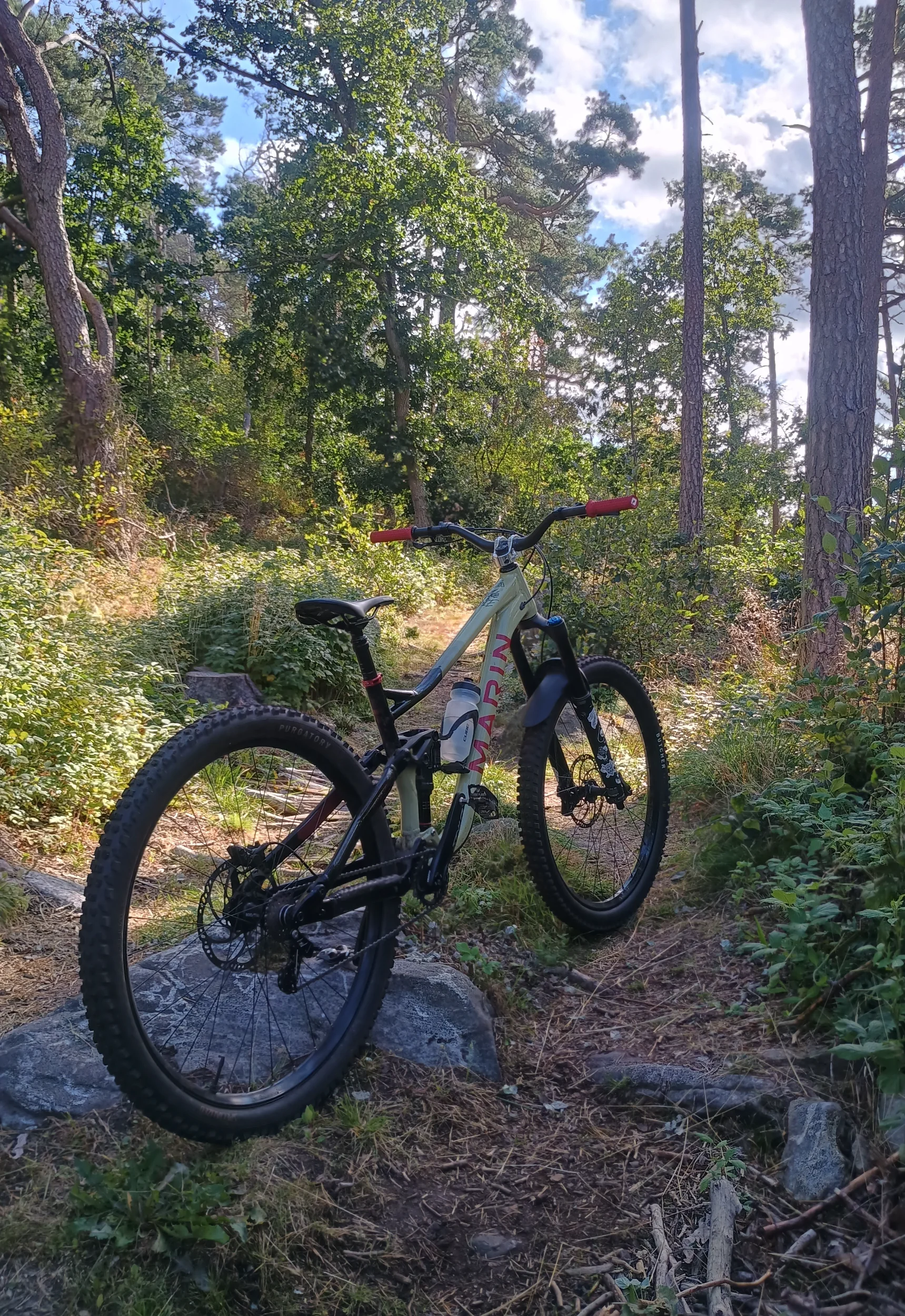 IMG_20250826_101632048_HDR.webp