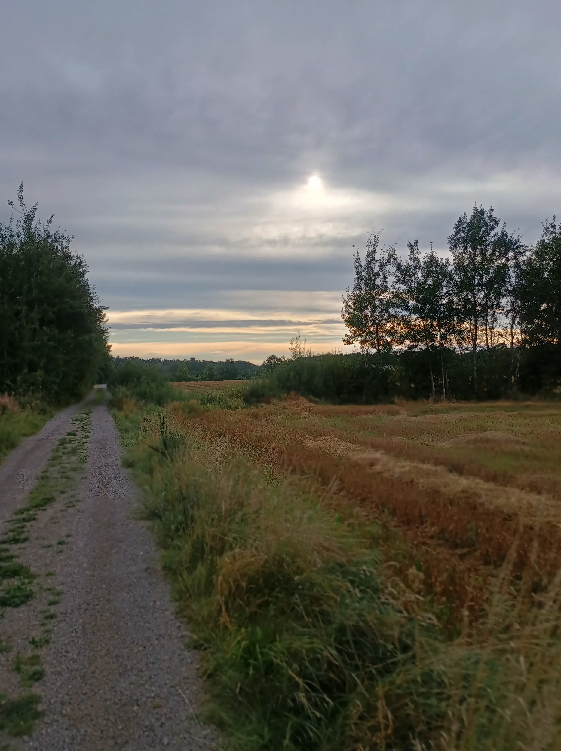 IMG_20250902_175639055_HDR.webp