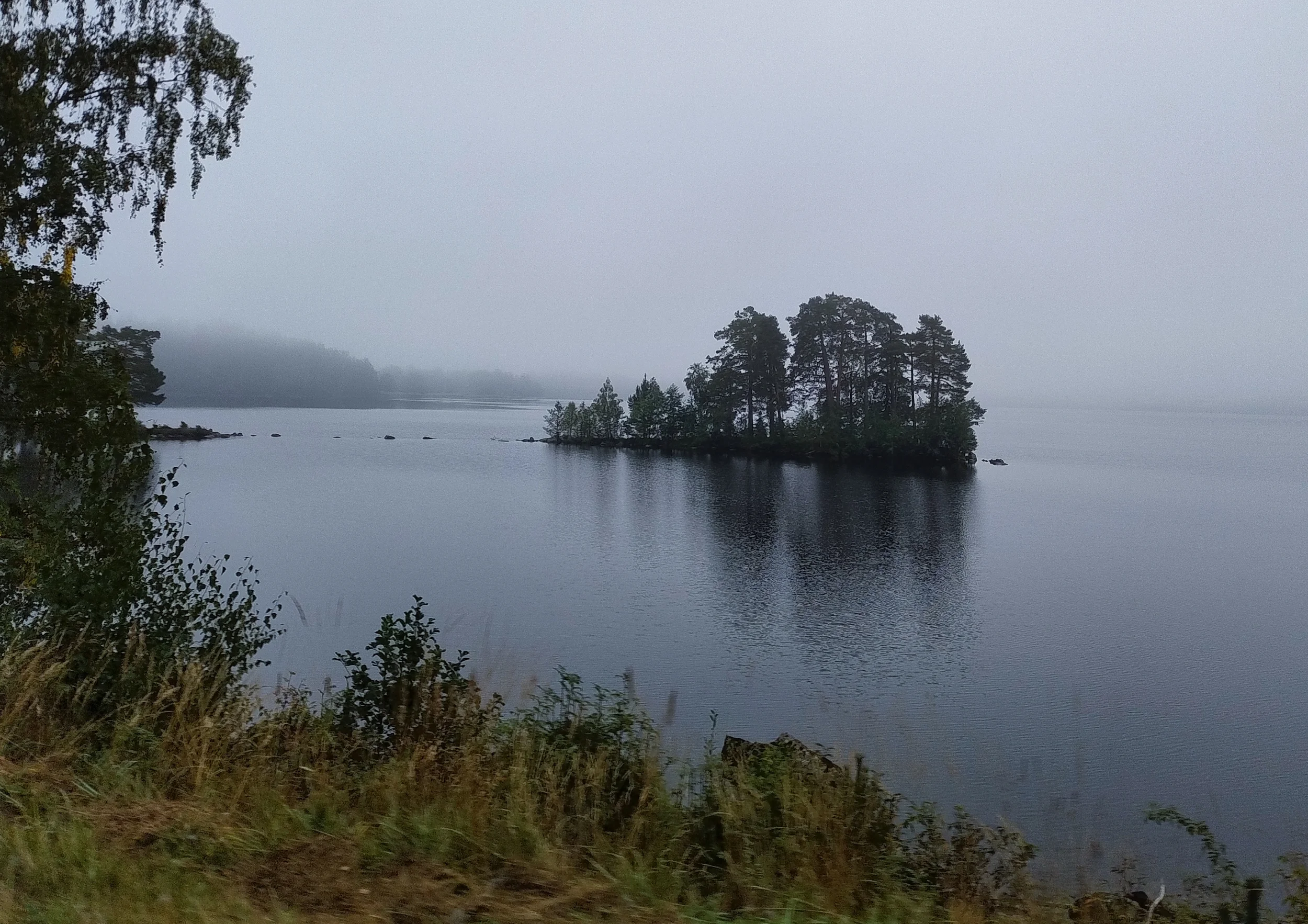 IMG_20250909_065826119.webp