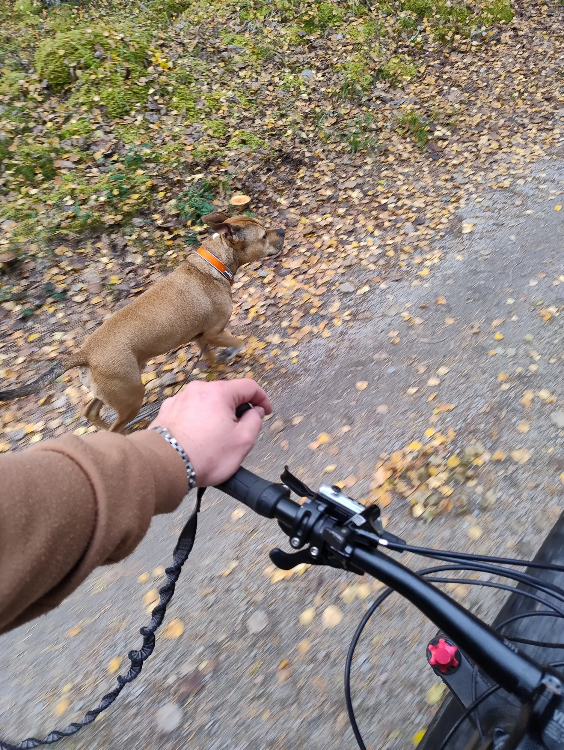 IMG_20251011_125411577.webp