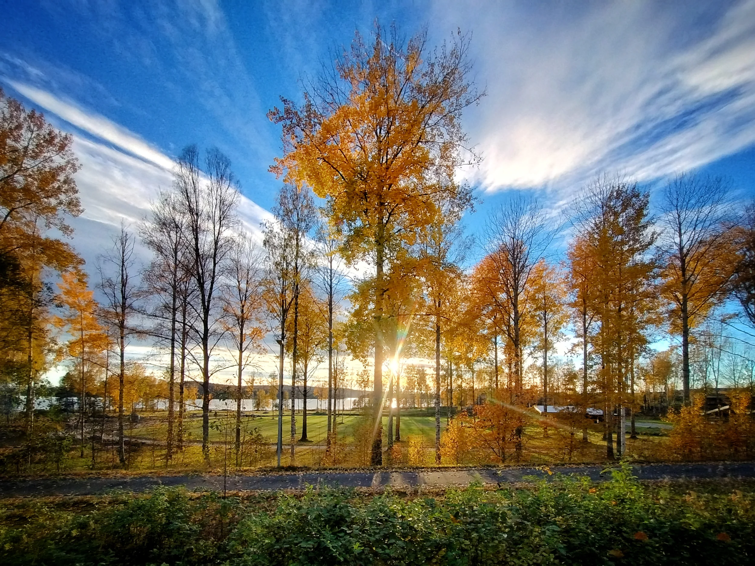 IMG_20251011_170916538_HDR.webp