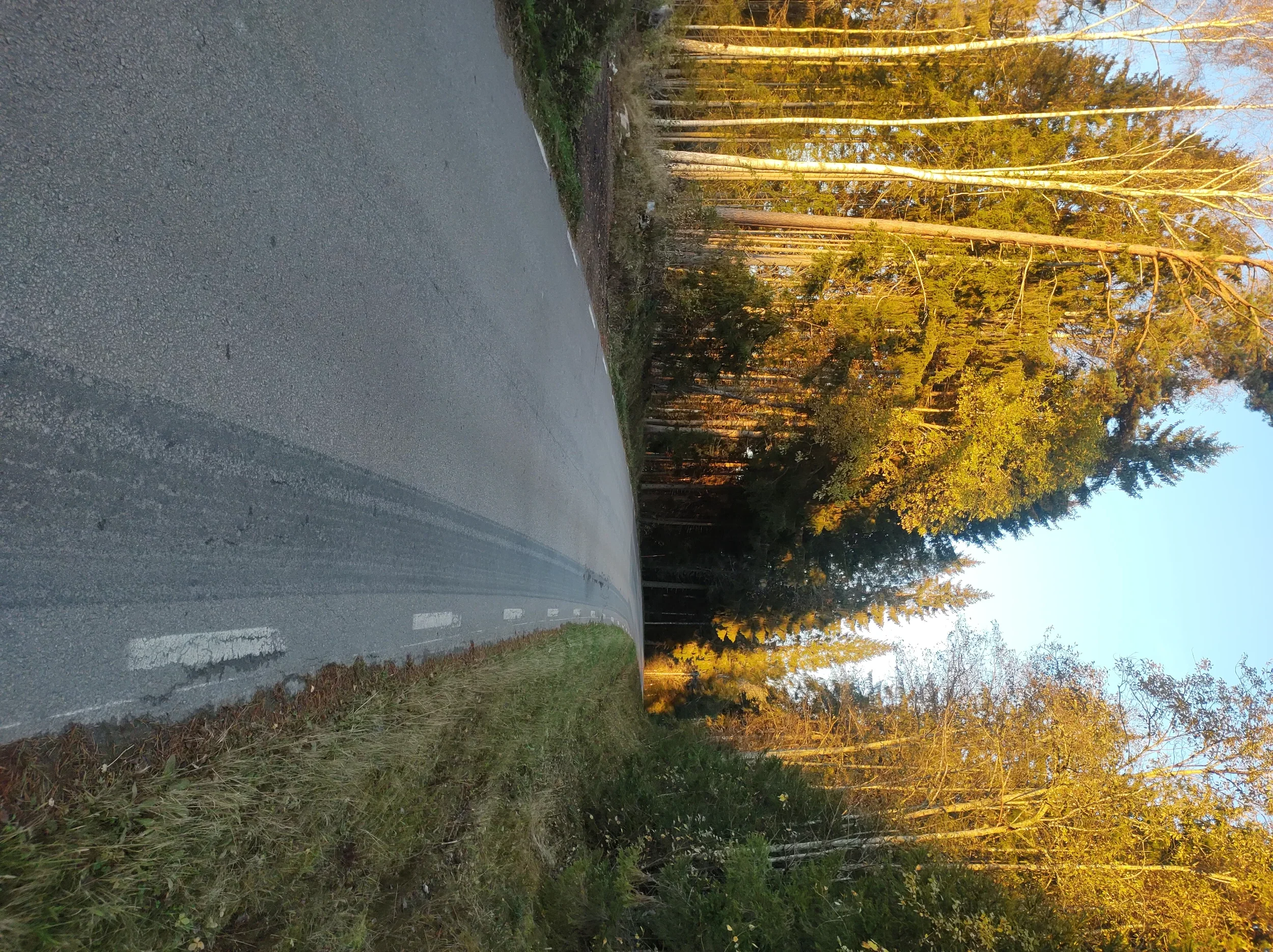 IMG_20251018_172916085.webp