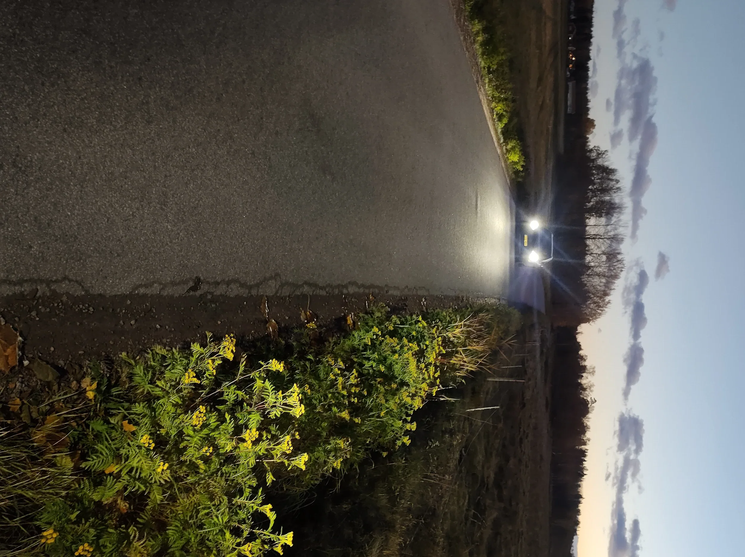 IMG_20251018_182306070.webp