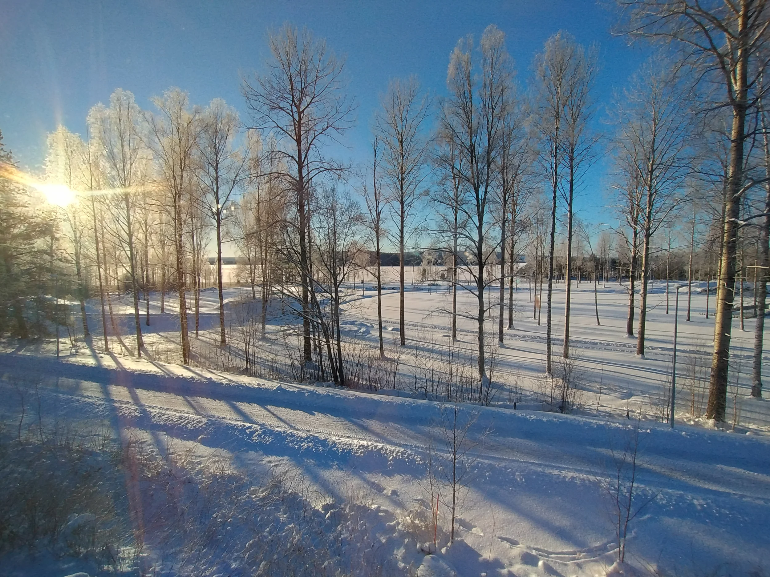 IMG_20260110_115142294_HDR.webp
