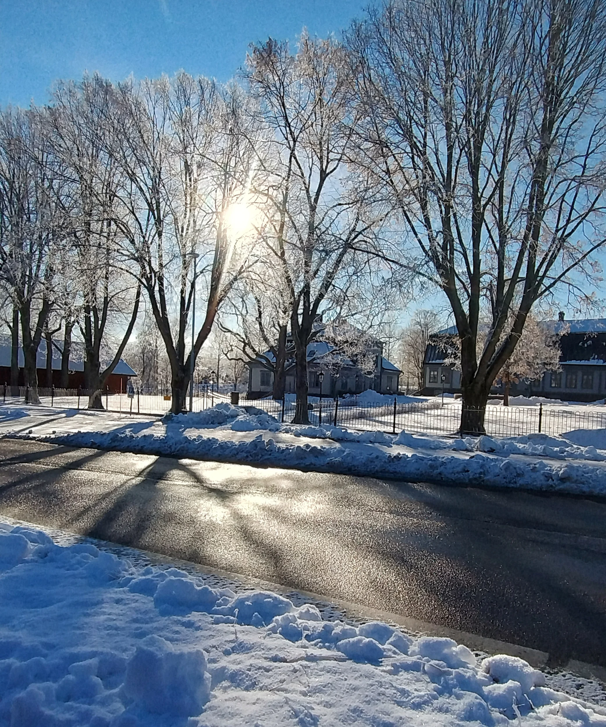 IMG_20260302_093302138_HDR.webp