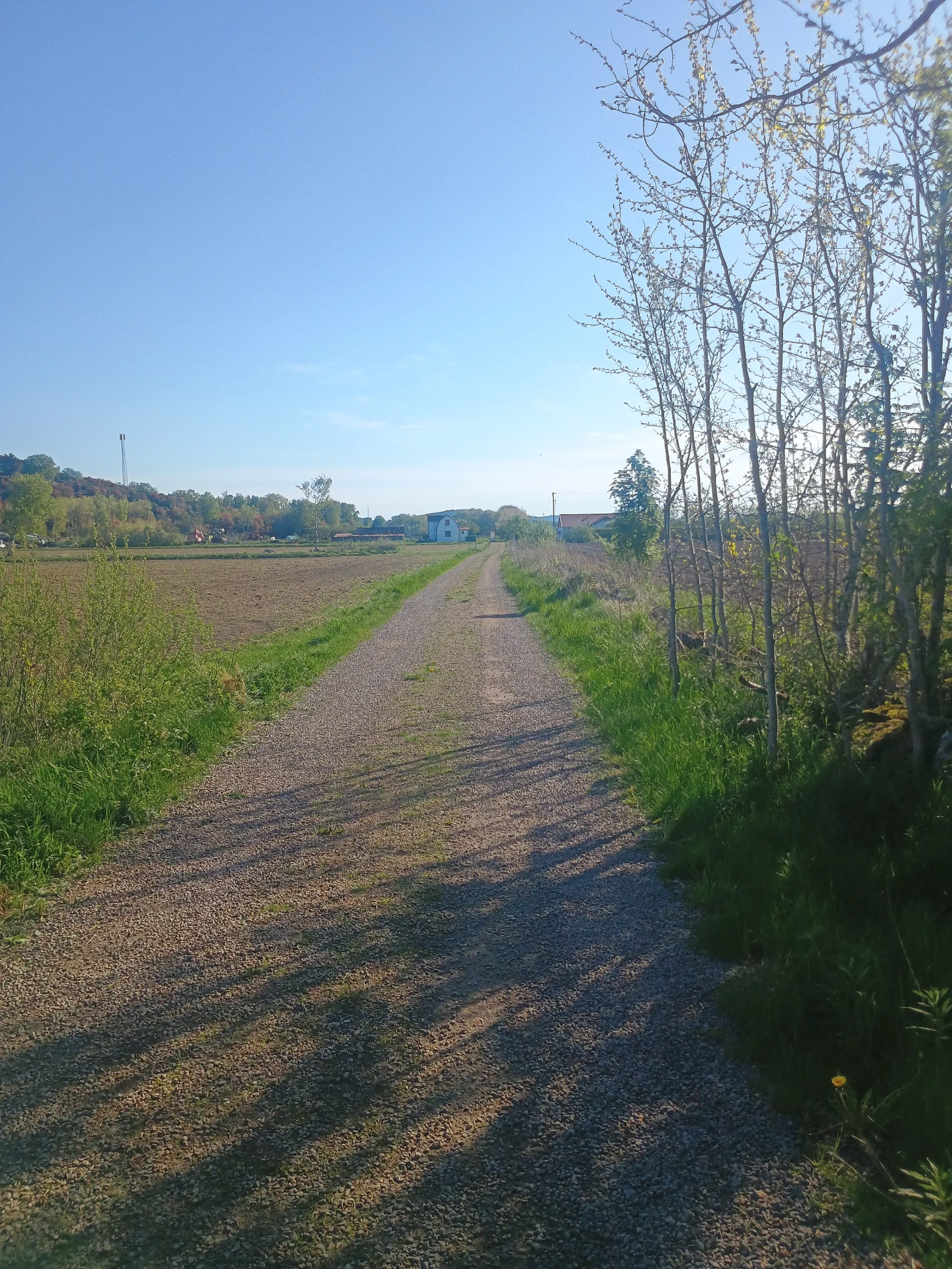 IMG_20260519_084834728.webp