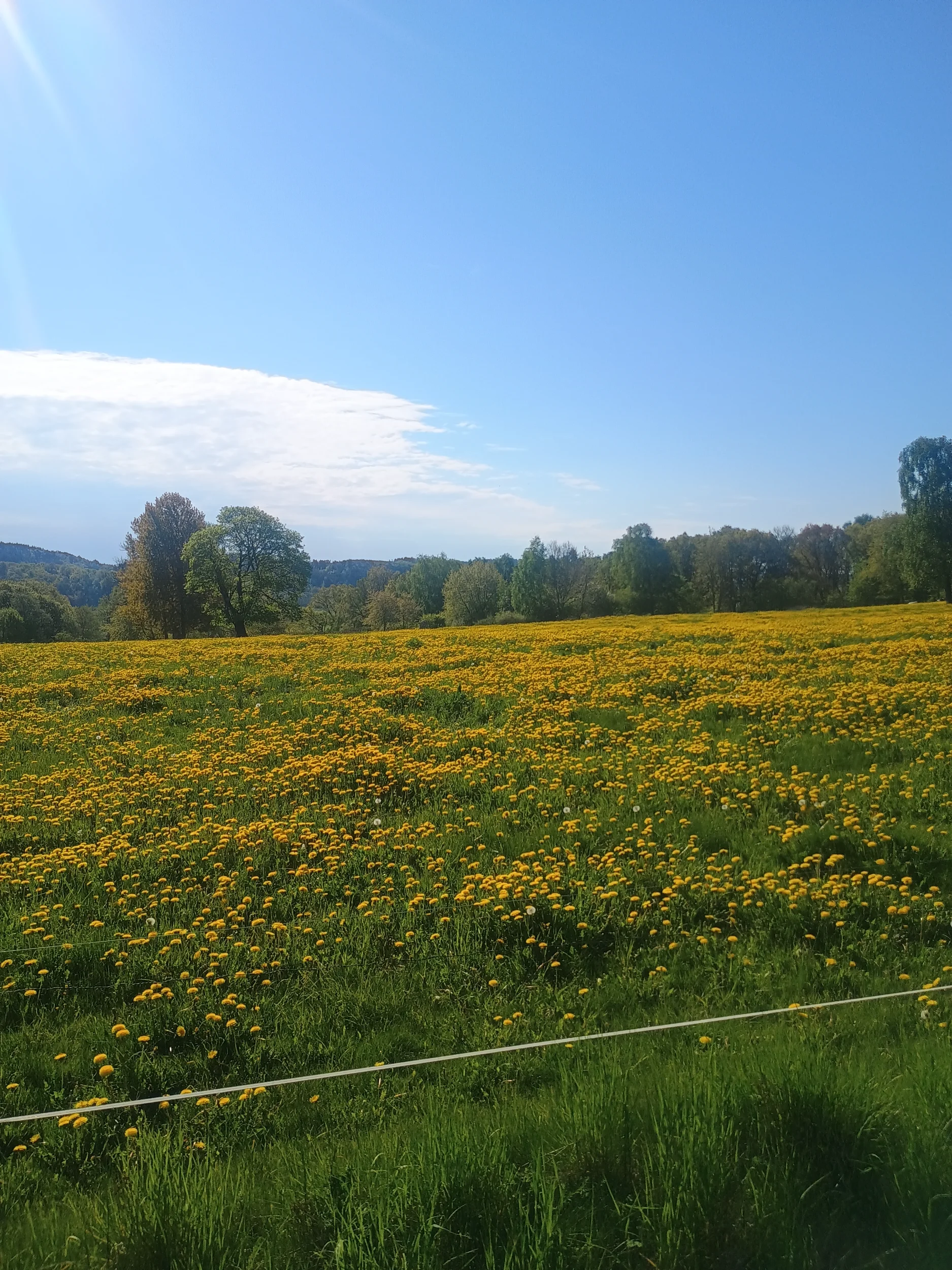 IMG_20260519_094017679.webp
