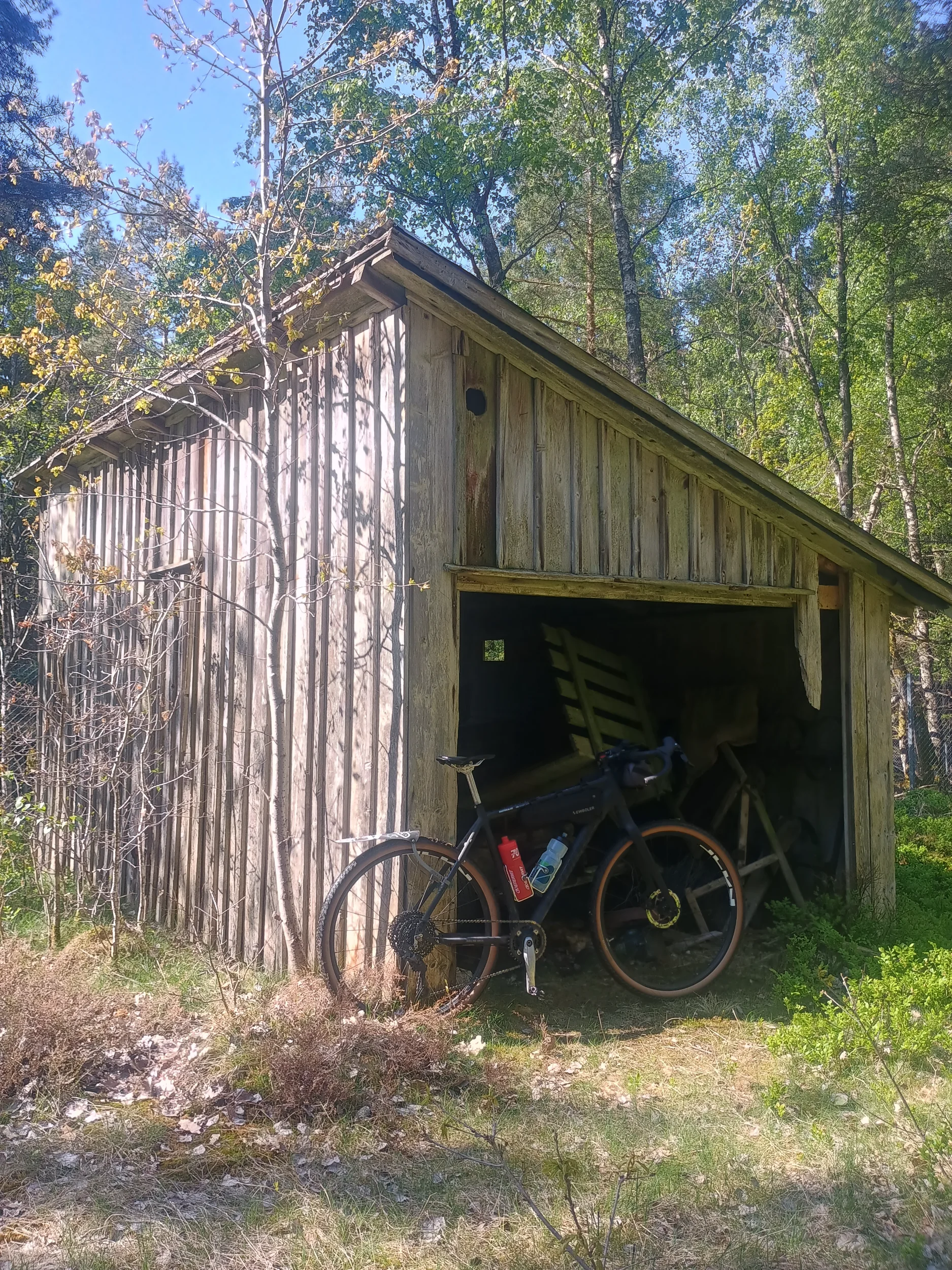 IMG_20260519_095357033_HDR.webp