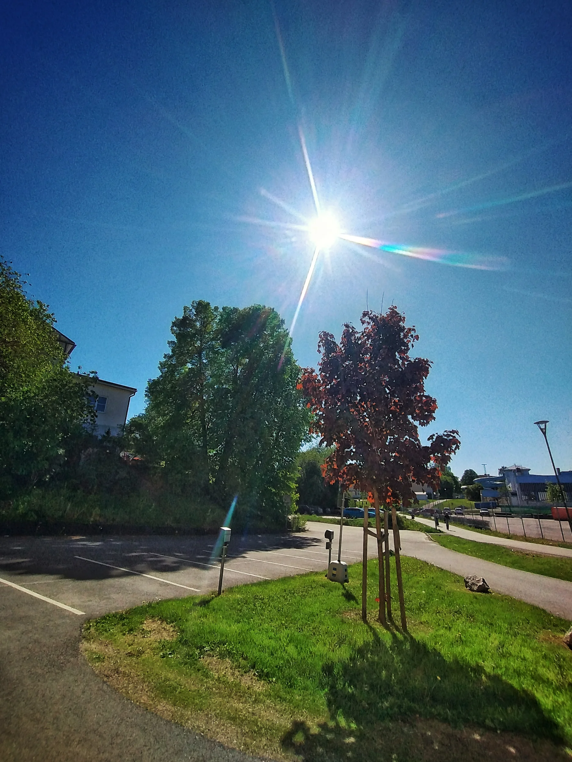 IMG_20260529_153702540_HDR.webp