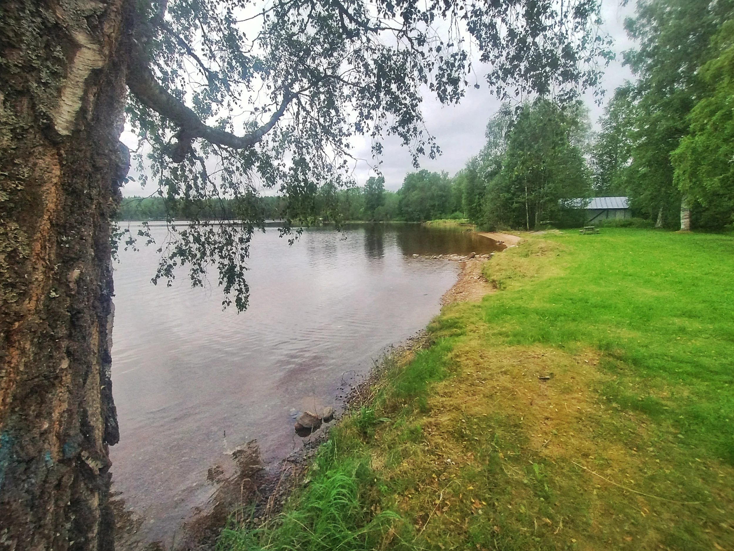 IMG_20260606_111817304_HDR.webp