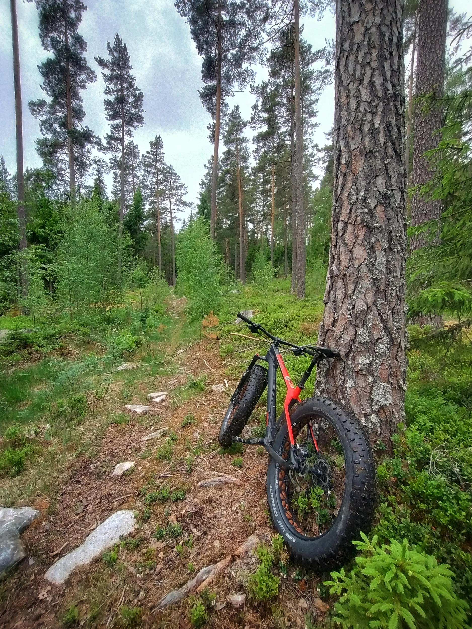 IMG_20260606_114937725_HDR.webp