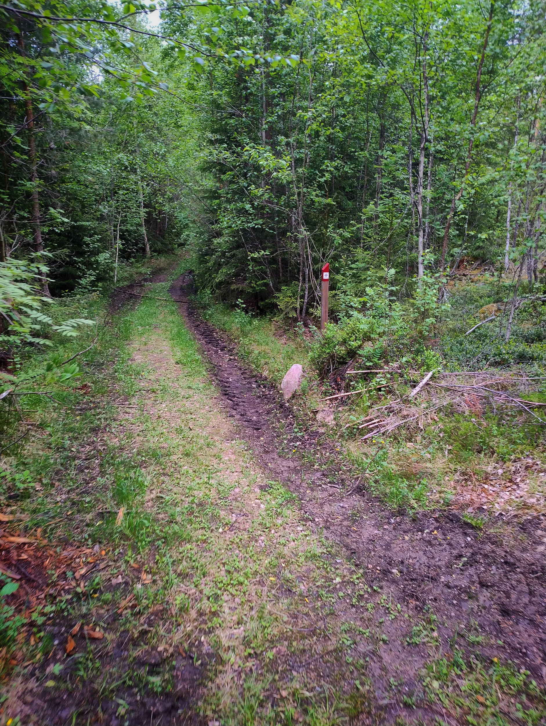 IMG_20260606_115608011_HDR.webp