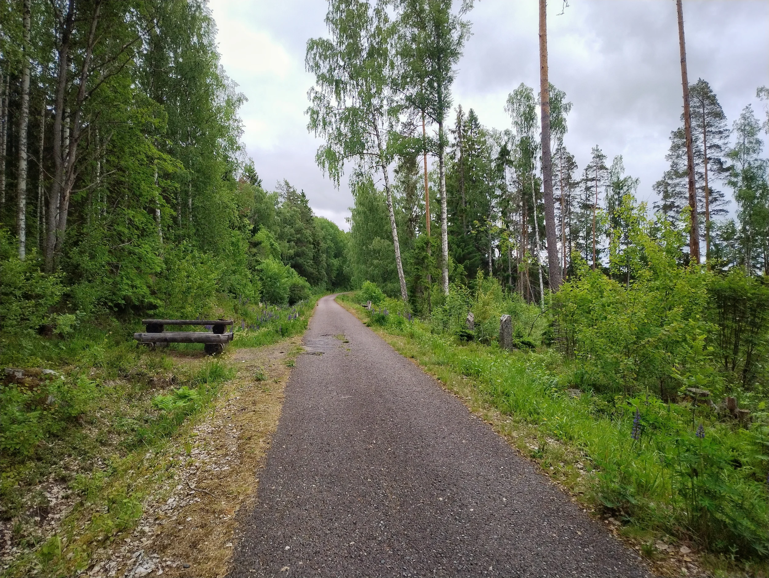 IMG_20260606_123503350_HDR.webp