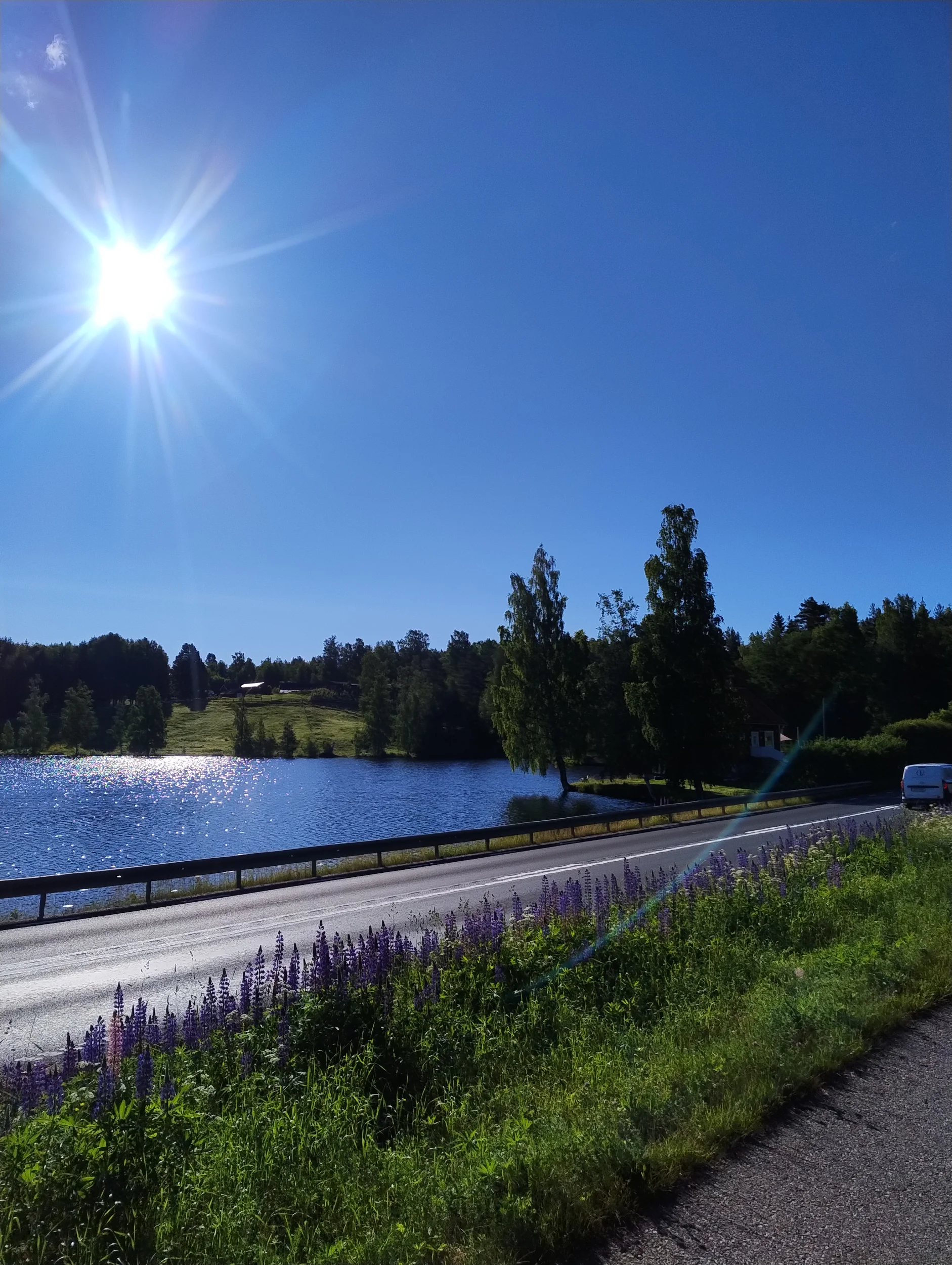 IMG_20260617_075423977.webp