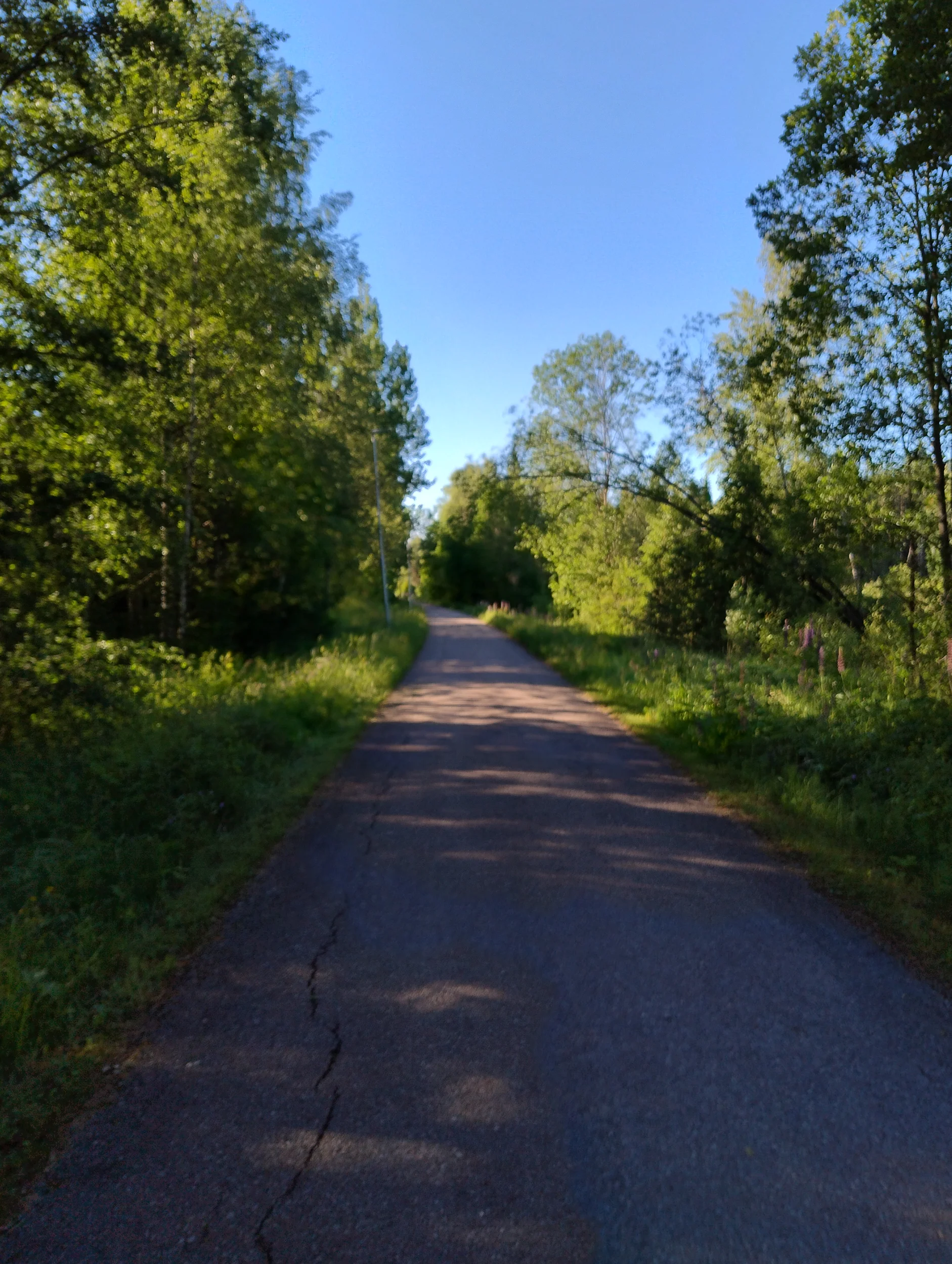 IMG_20260617_075526611_HDR.webp