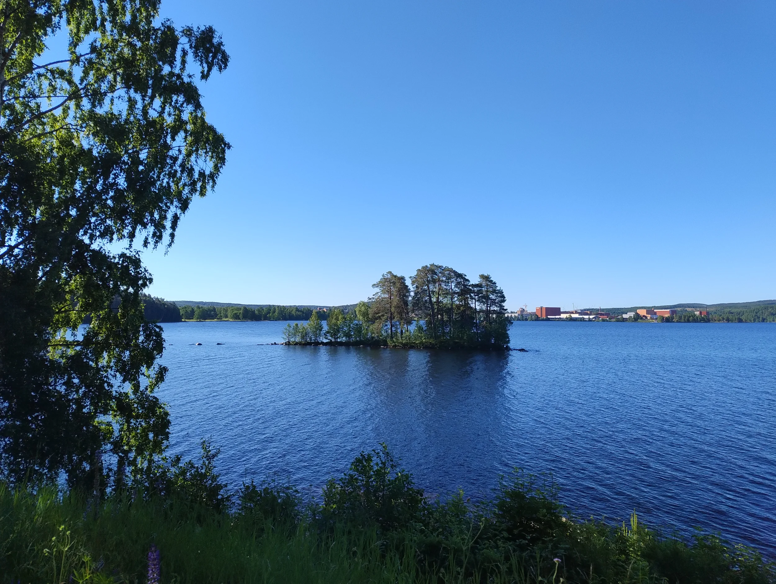 IMG_20260617_080101568.webp