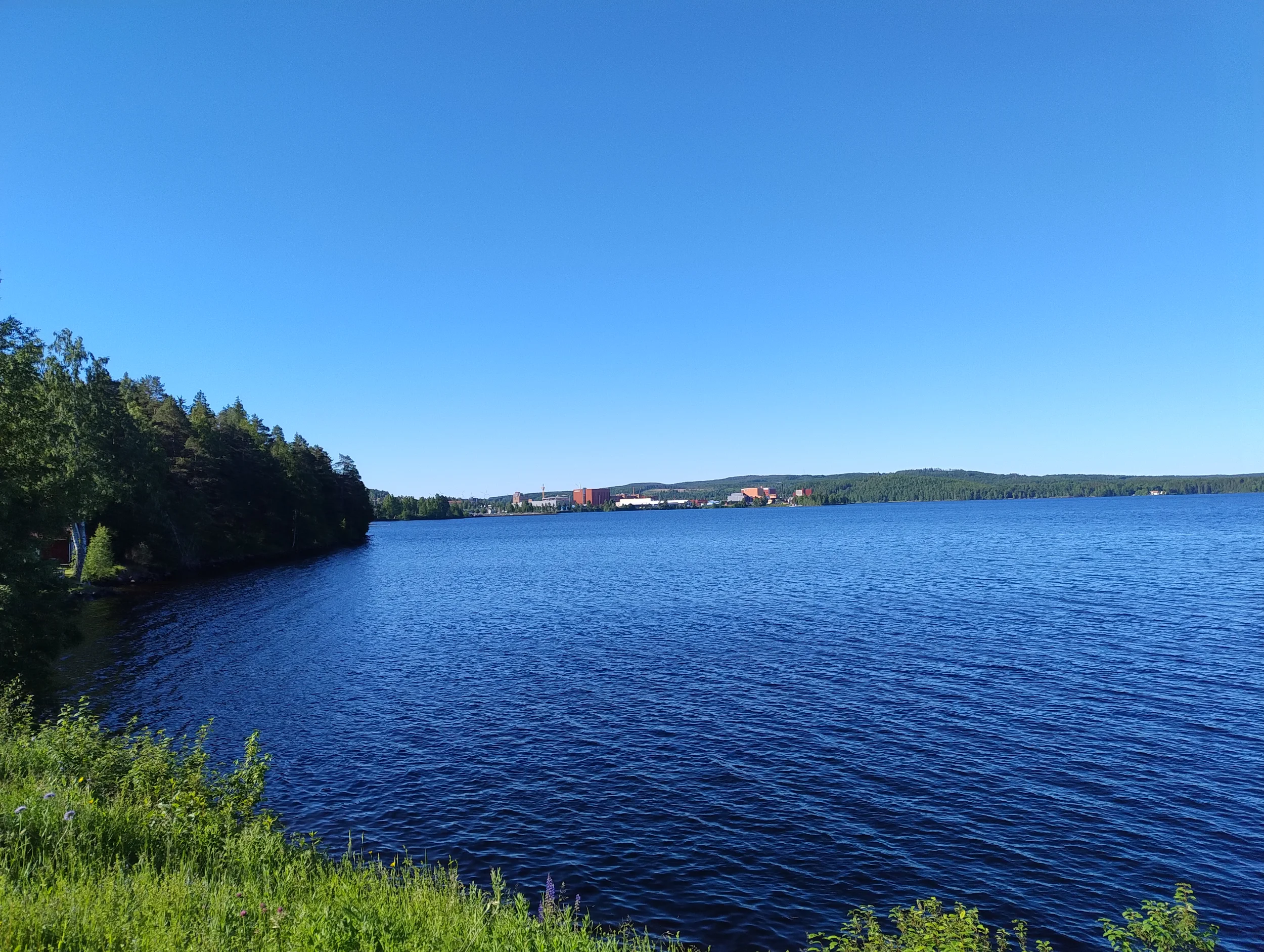 IMG_20260617_080221297.webp