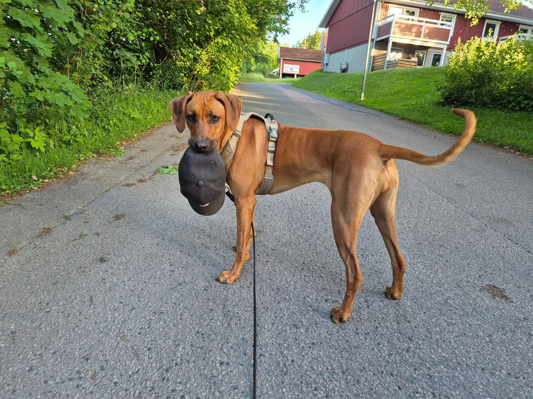 IMG_20260627_132828.webp