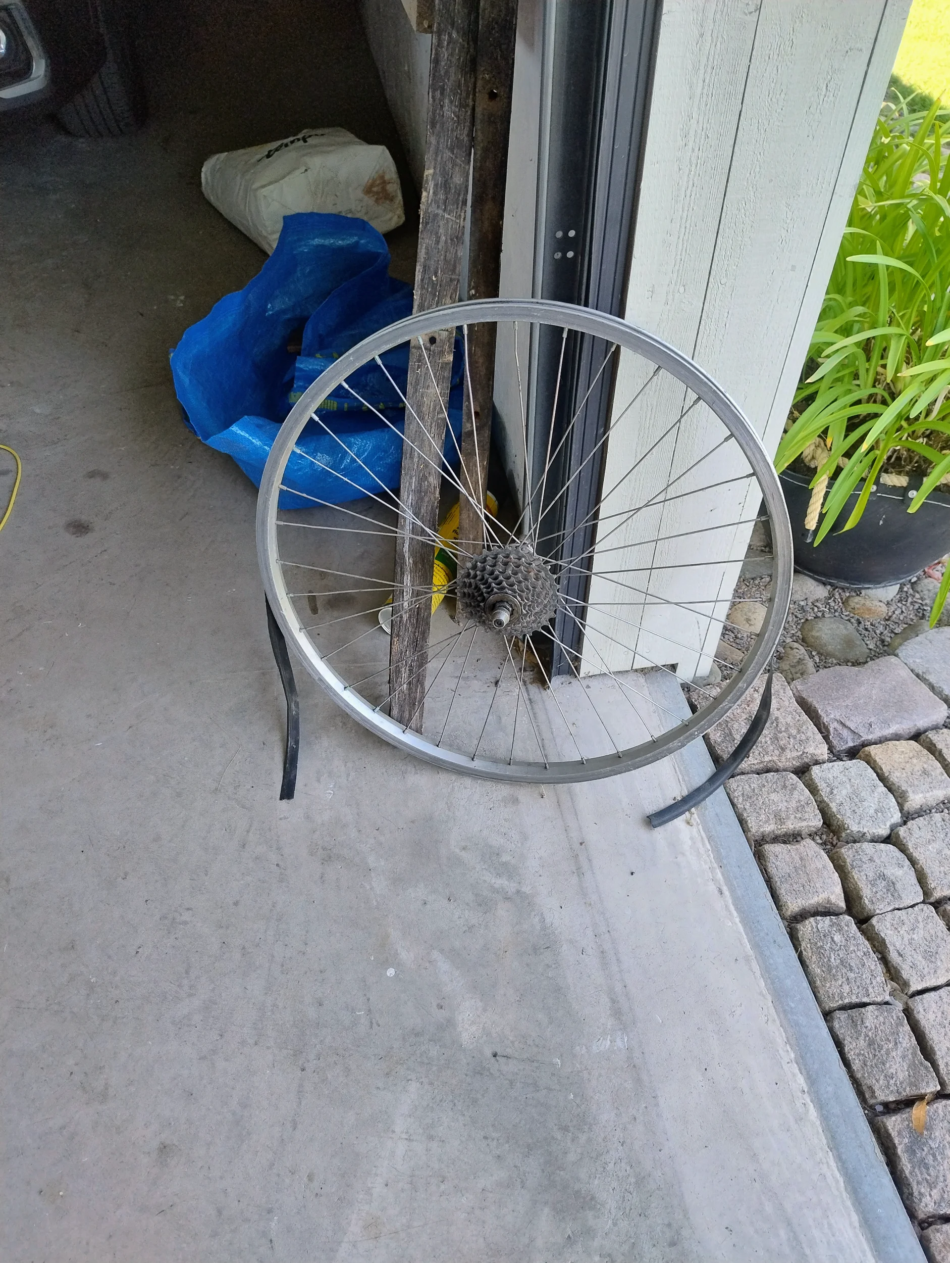 IMG_20260804_145258536_HDR_AE.webp